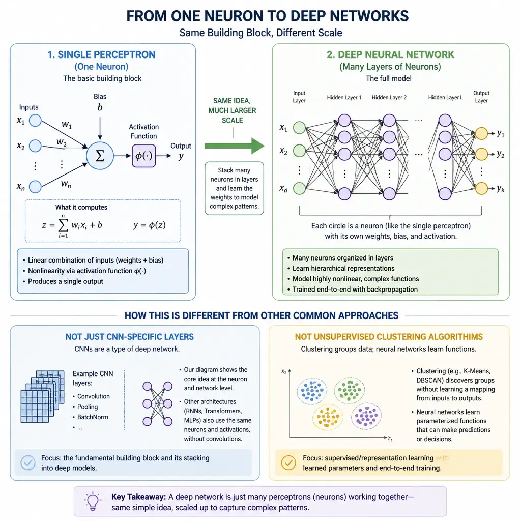 Diagram contrasting a single perceptron (one neuron with weighted inputs, bias, and activation function) at one scale against a full deep network of stacked layers at a much larger scale, with side notes distinguishing it from CNN-specific layers and unsupervised clustering algorithms.