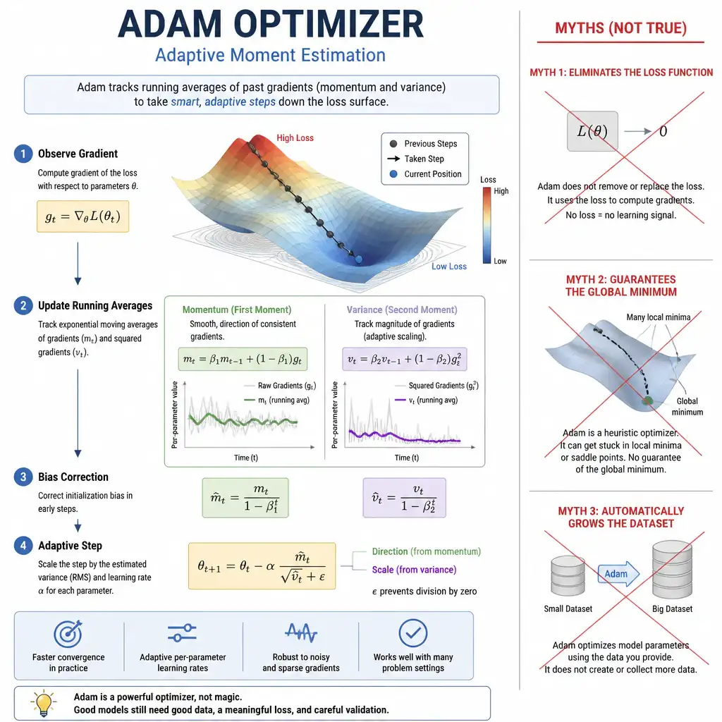Diagram of the Adam optimizer tracking running averages of gradient history (momentum and variance) to take smart adaptive steps down a loss surface, contrasted with crossed-out myths of eliminating the loss function, guaranteeing the global minimum, or growing the dataset automatically.