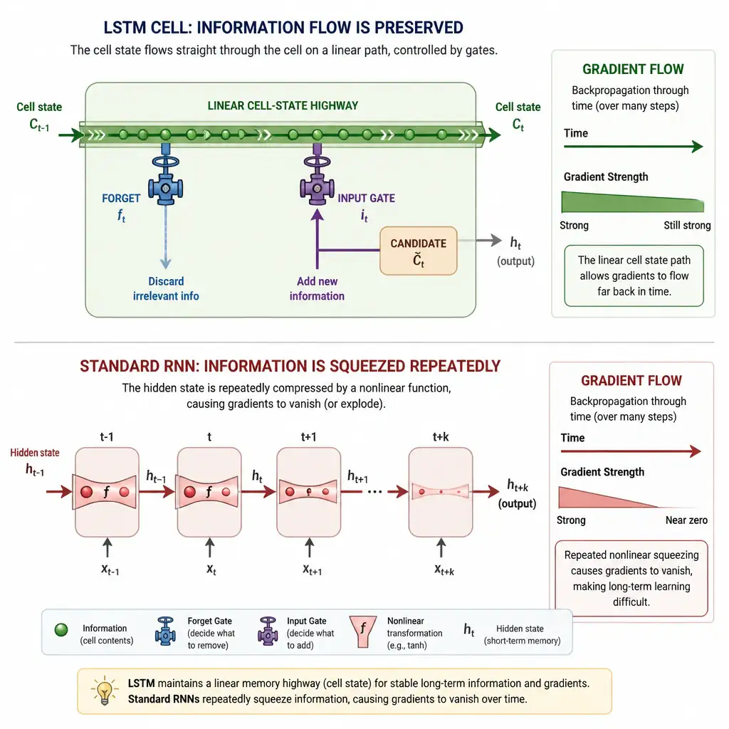 An infographic showing an LSTM cell diagram with the cell state drawn as a straight horizontal conveyor belt running through the unit with small gate valves (forget gate, input gate) attached, contrasted below with a standard RNN's hidden state shown squeezed through a tight nonlinear funnel repeatedly, with a gradient arrow shrinking to near-zero in the RNN version but staying strong in the LSTM cell-state version.