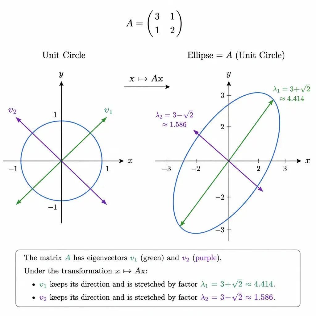 A geometric diagram showing a unit circle being transformed by a matrix into an ellipse, with two special axis arrows (eigenvectors) shown unchanged in direction but stretched by different amounts, each labeled with its corresponding eigenvalue as the stretch factor.