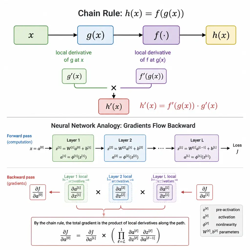 A layered diagram showing x flowing into g(x), then g(x) flowing into f, producing h(x). Arrows labeled with the local derivatives g'(x) and f'(g(x)) multiplying together along the path to form h'(x). Include a small neural-network analogy showing gradients flowing backward through stacked layers, each contributing a multiplicative local derivative.