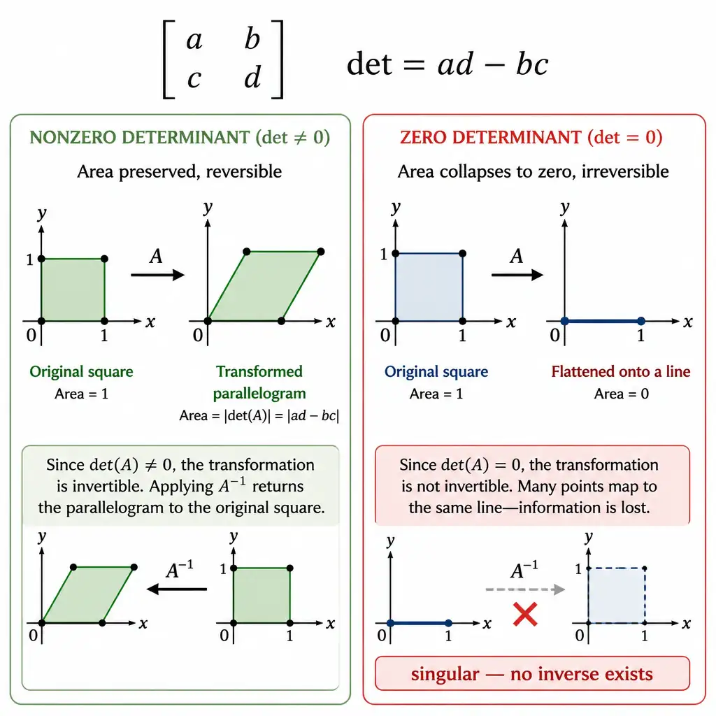 A 2x2 matrix with entries a, b, c, d shown next to the formula det = ad - bc. Two side-by-side panels: one showing a nonzero-determinant matrix transforming a square into a parallelogram (area preserved, reversible), and another showing a zero-determinant matrix flattening the square onto a line (area collapses to zero, irreversible). Label the second panel 'singular — no inverse exists'.