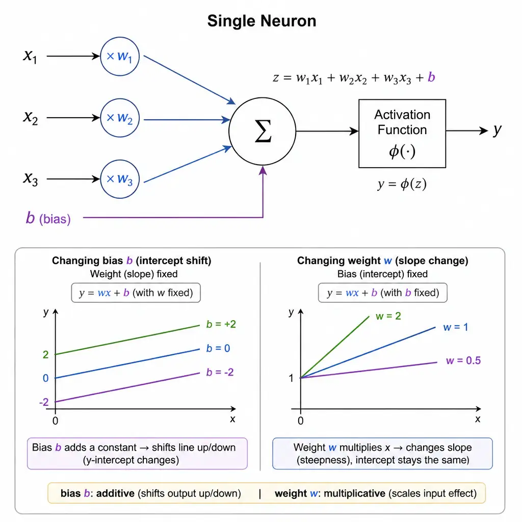 A single neuron diagram: multiple input arrows x1, x2, x3 each multiplied by weights w1, w2, w3, summed together, then a separate constant 'b' (bias) added into the same summation node before the result passes through an activation function box. Include a small 2D graph showing how changing bias shifts a line up/down (y-intercept) while weight changes its slope, to illustrate the additive vs multiplicative distinction.