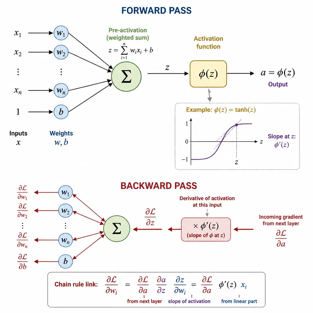 A single neuron diagram showing the forward pass (input to activation function to output) and, below it, the backward pass arrow showing the incoming gradient being multiplied by the activation function's derivative (the slope of its curve at that input point) before continuing backward to the weights, illustrating the chain-rule link.