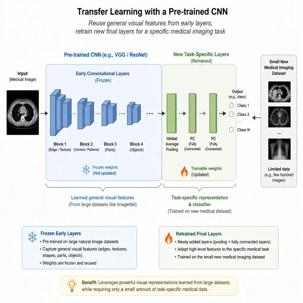 Diagram of a pre-trained CNN (like VGG or ResNet) with frozen early convolutional layers reused for general visual features, connected to newly added and retrained final layers adapted to a small new medical imaging dataset.