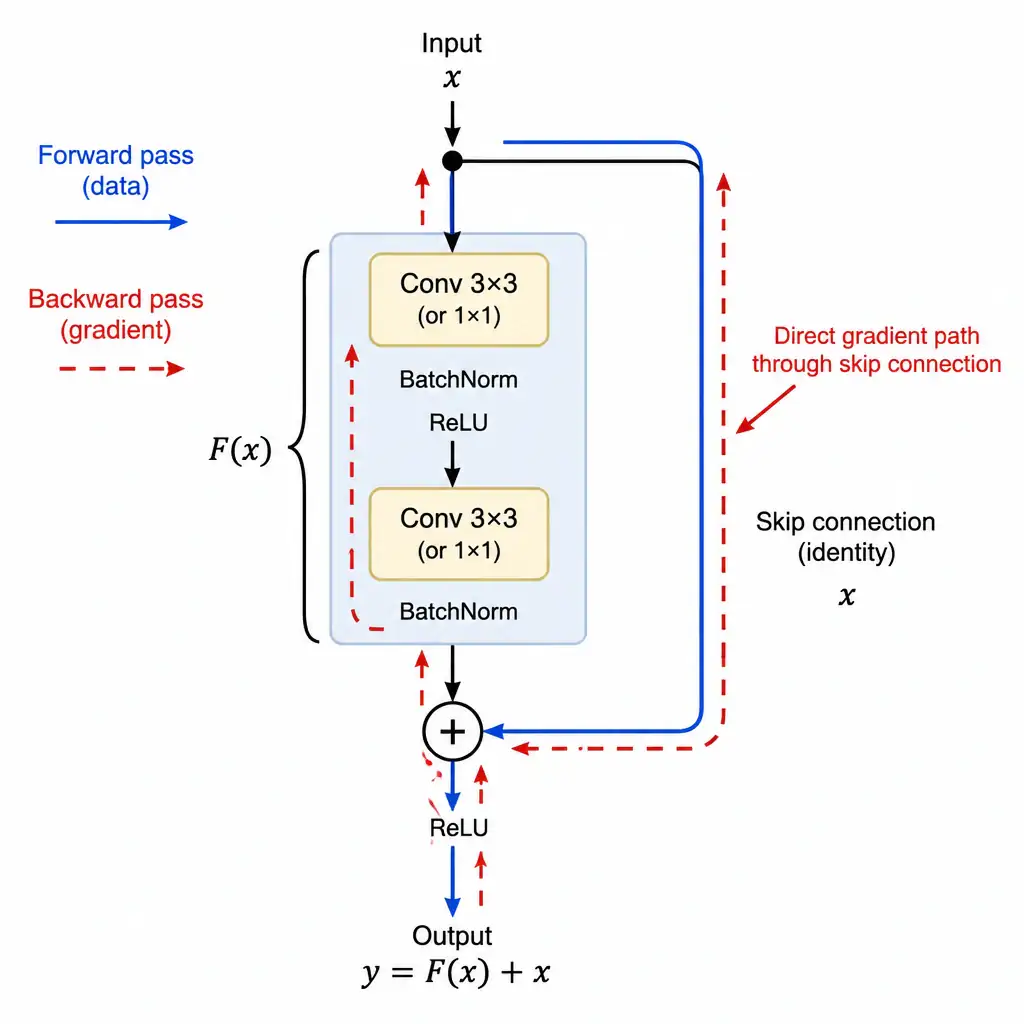 Diagram of a residual block in a ResNet showing the input taking a skip-connection shortcut around a set of convolutional layers and being added back to their output, with an arrow illustrating a direct gradient path during backpropagation.