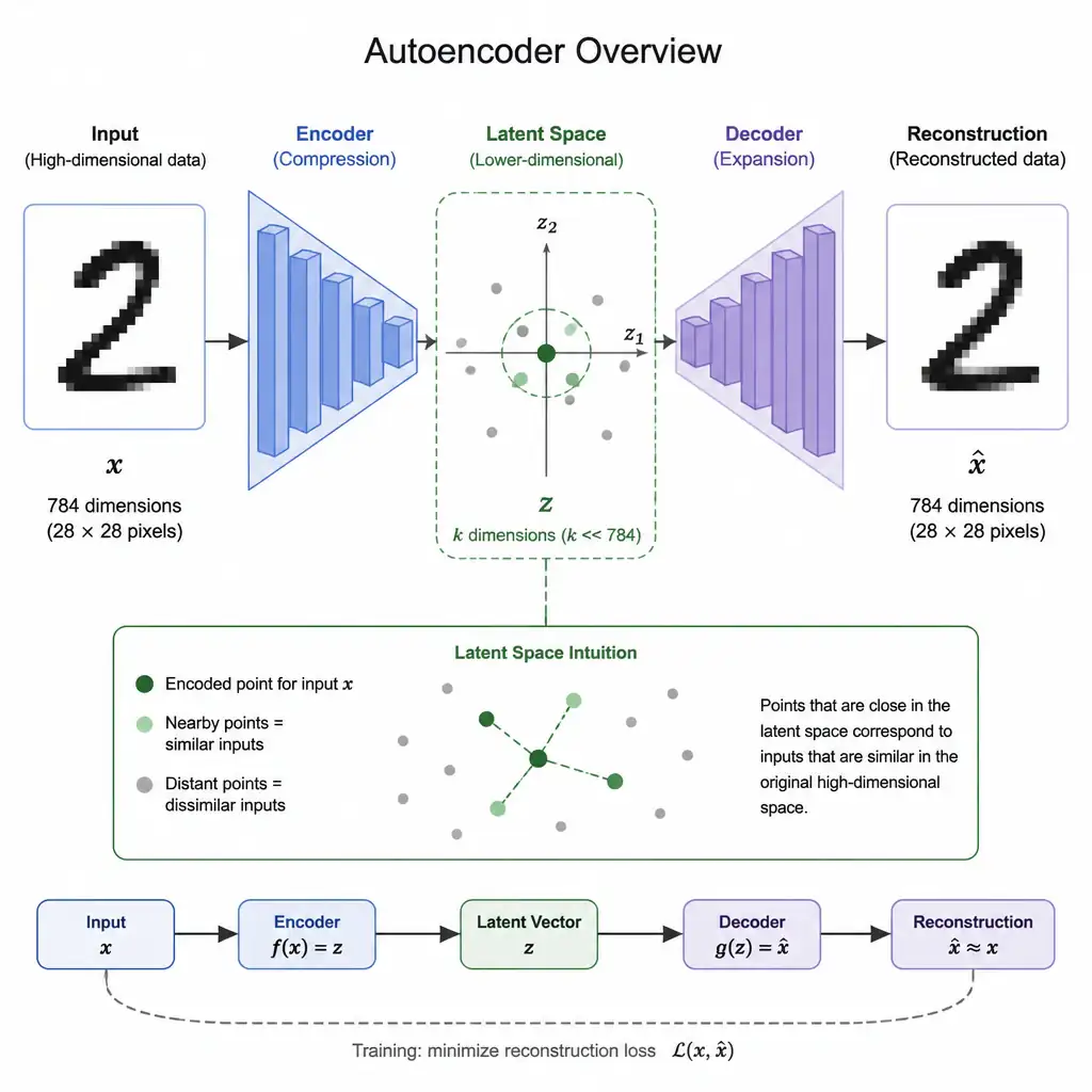Diagram of an autoencoder showing an input being compressed by the encoder into a point within a lower-dimensional latent space, with nearby points representing similar inputs, and the decoder expanding a latent point back into reconstructed data.