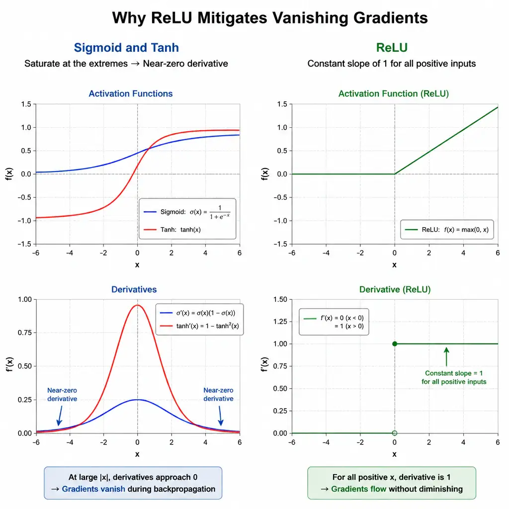 Side-by-side plots comparing sigmoid and tanh curves flattening with near-zero derivative at the extremes against the ReLU curve maintaining a constant slope of 1 for all positive inputs, illustrating why ReLU mitigates vanishing gradients.