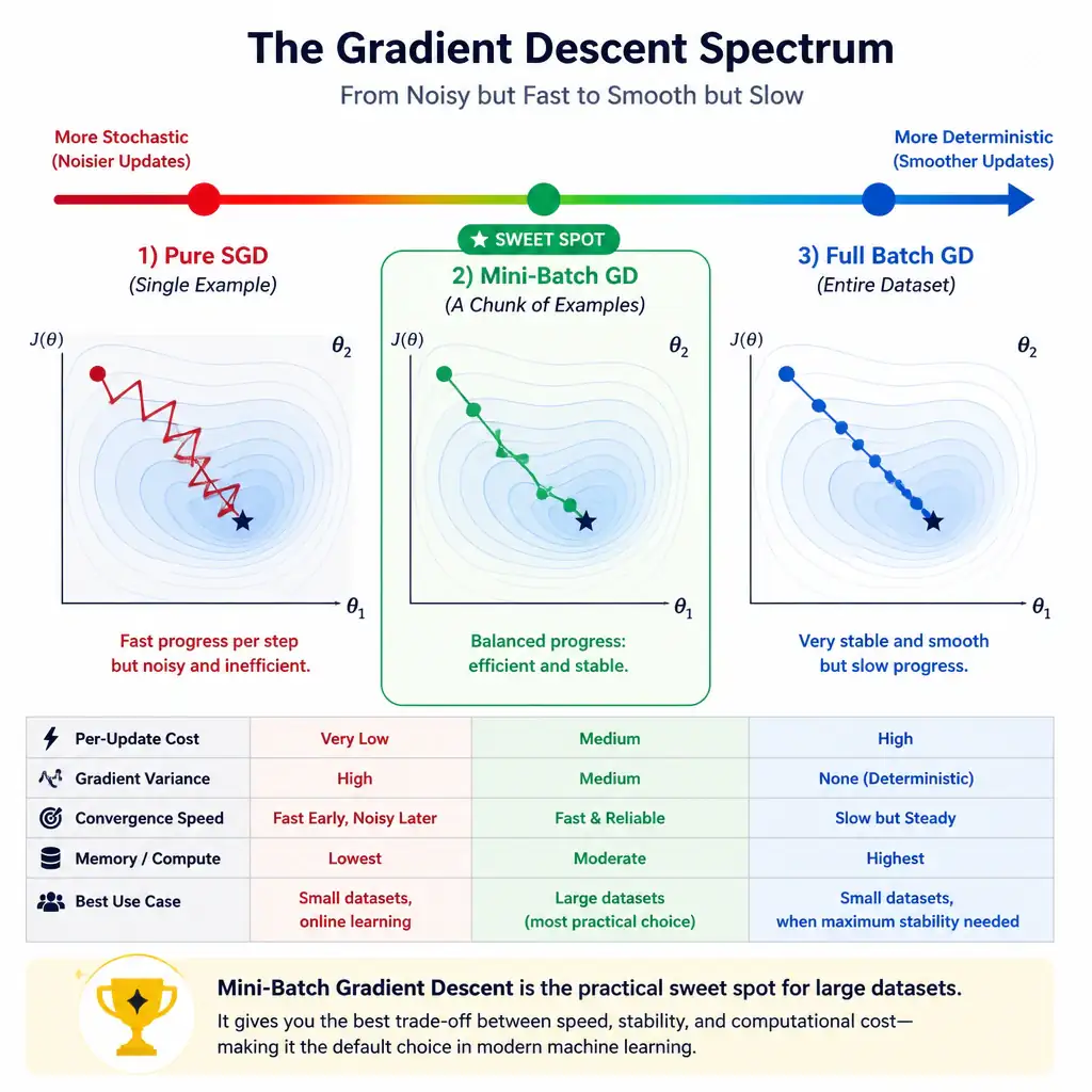 An infographic showing a spectrum with three points: pure SGD (single example, fast but noisy zigzag path), mini-batch (a chunk of examples, moderately smooth path, positioned as the balanced middle), and full batch gradient descent (entire dataset, smooth but slow path). Highlight mini-batch as the practical sweet spot for large datasets.