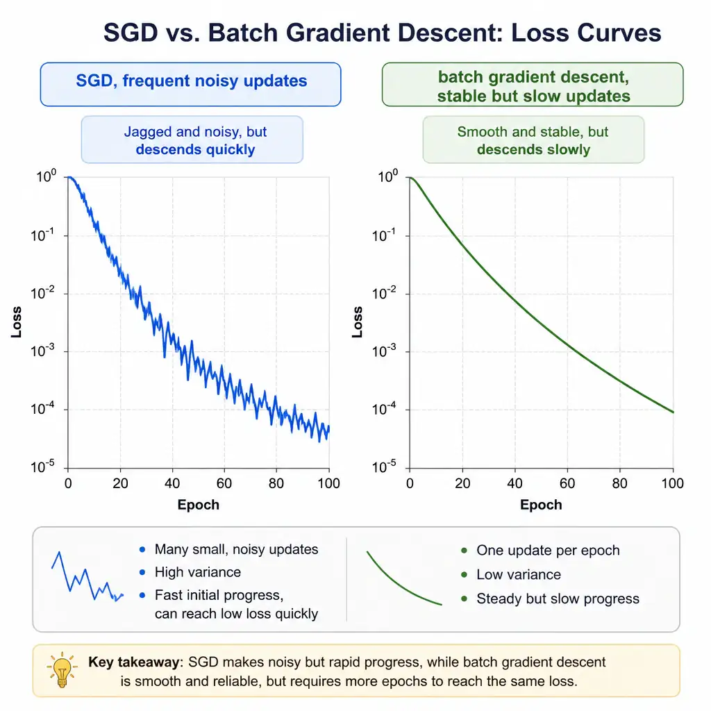 An infographic comparing two loss curves side by side: a jagged, noisy but fast-descending curve labeled 'SGD, frequent noisy updates' versus a smooth, slower-descending curve labeled 'batch gradient descent, stable but slow updates'.