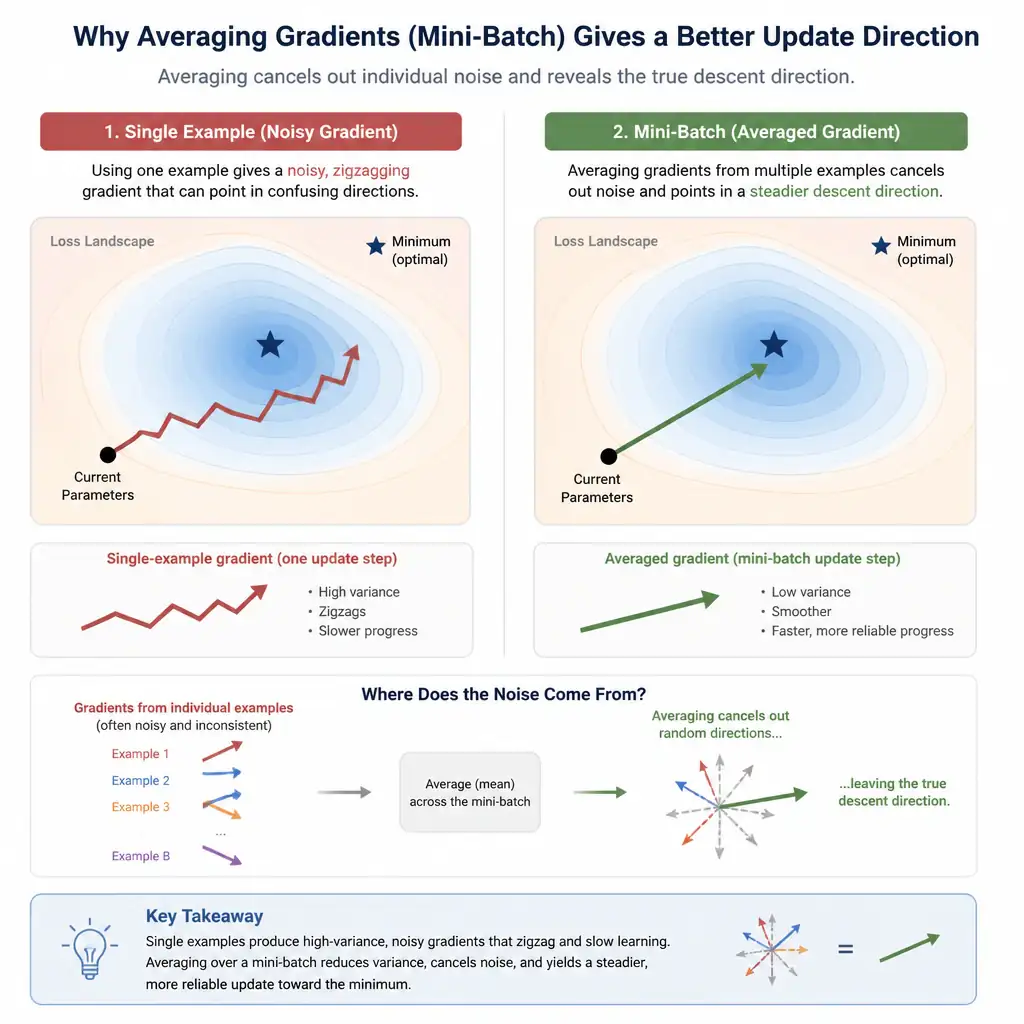 An infographic comparing a single noisy, zigzagging gradient arrow from one example against a smoother, averaged gradient arrow computed from a mini-batch of several examples, showing how averaging multiple examples cancels out individual noise and produces a steadier update direction.