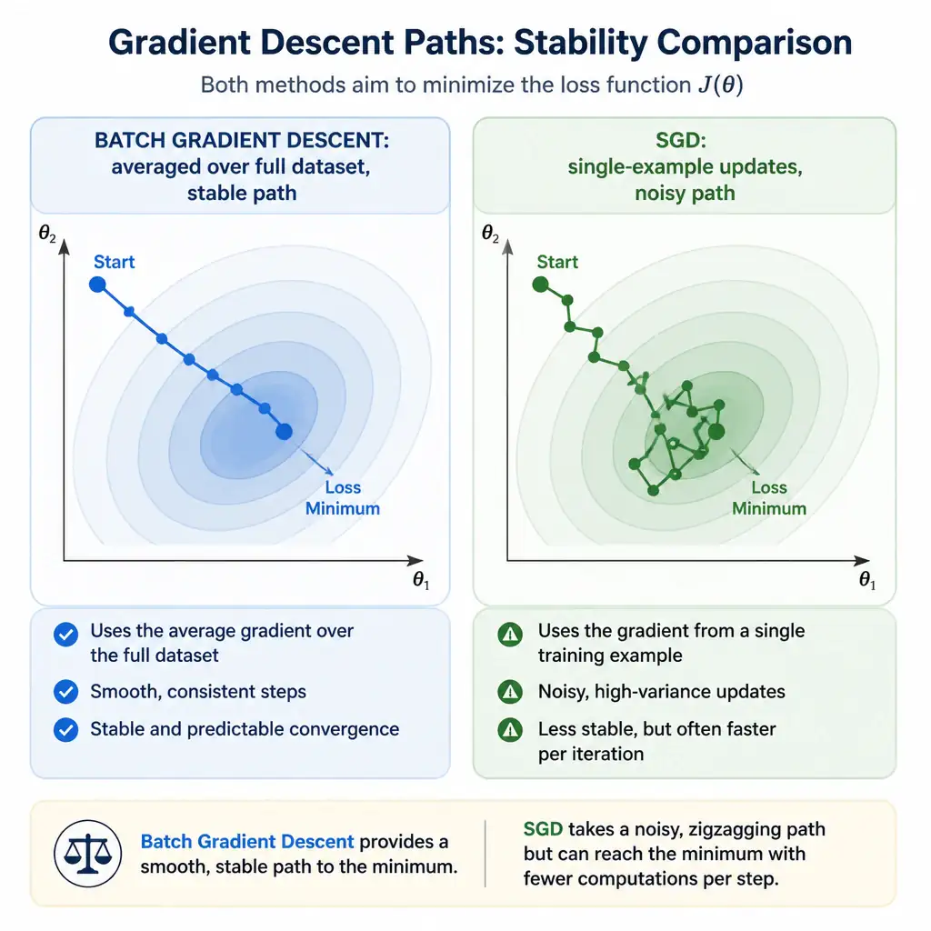 An infographic showing a smooth, steady descent path toward a loss minimum labeled 'batch gradient descent: averaged over full dataset, stable path' next to a jagged, zigzagging path labeled 'SGD: single-example updates, noisy path', highlighting the stability contrast.