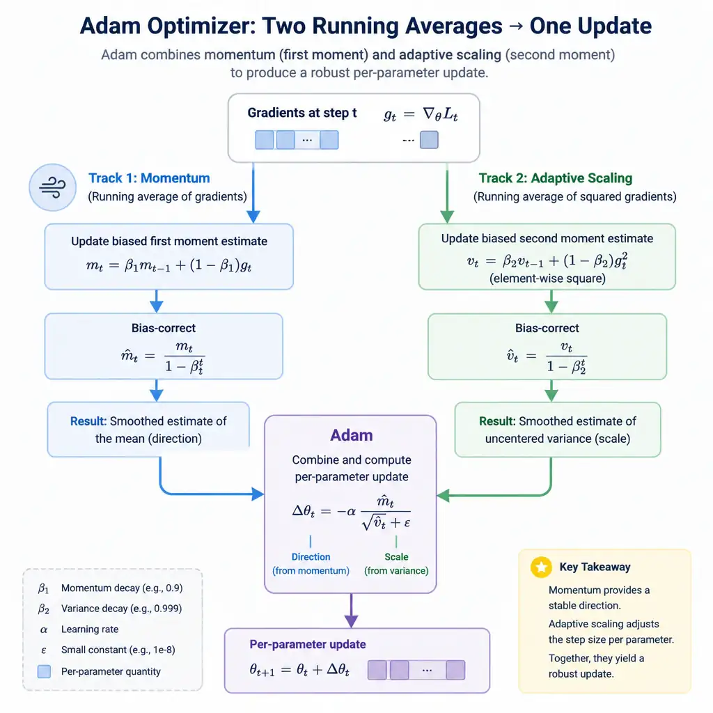 An infographic showing two parallel tracks feeding into an optimizer labeled Adam: one track showing a running average of gradients (momentum) and another showing a running average of squared gradients (adaptive scaling), merging into a single per-parameter update arrow.