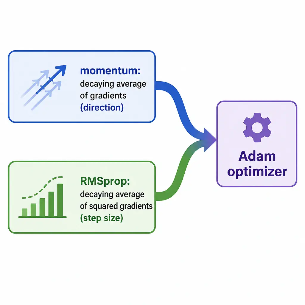 An infographic with two converging arrows: one labeled 'momentum: decaying average of gradients (direction)' and one labeled 'RMSprop: decaying average of squared gradients (step size)', merging into a box labeled 'Adam optimizer'.