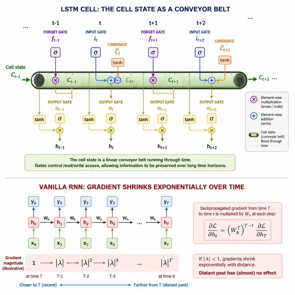 LSTM cell diagram showing the cell state as a conveyor belt running through time, with input gate, forget gate, and output gate controlling read/write access, contrasted with a vanilla RNN's gradient shrinking exponentially over many time steps