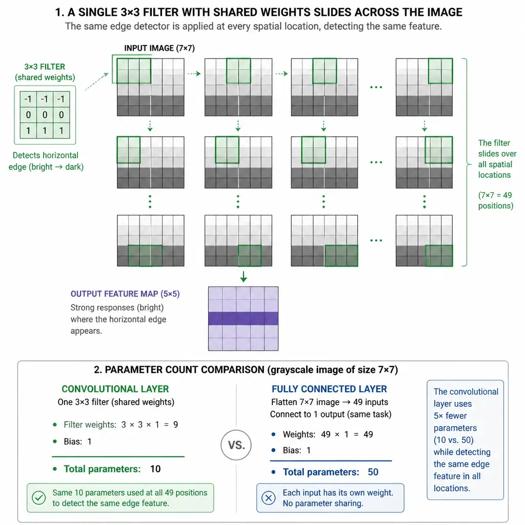 Diagram showing a single 3x3 filter with shared weights sliding across every position of an image, detecting the same edge feature in multiple locations, with a parameter count comparison against a fully connected layer processing the same image