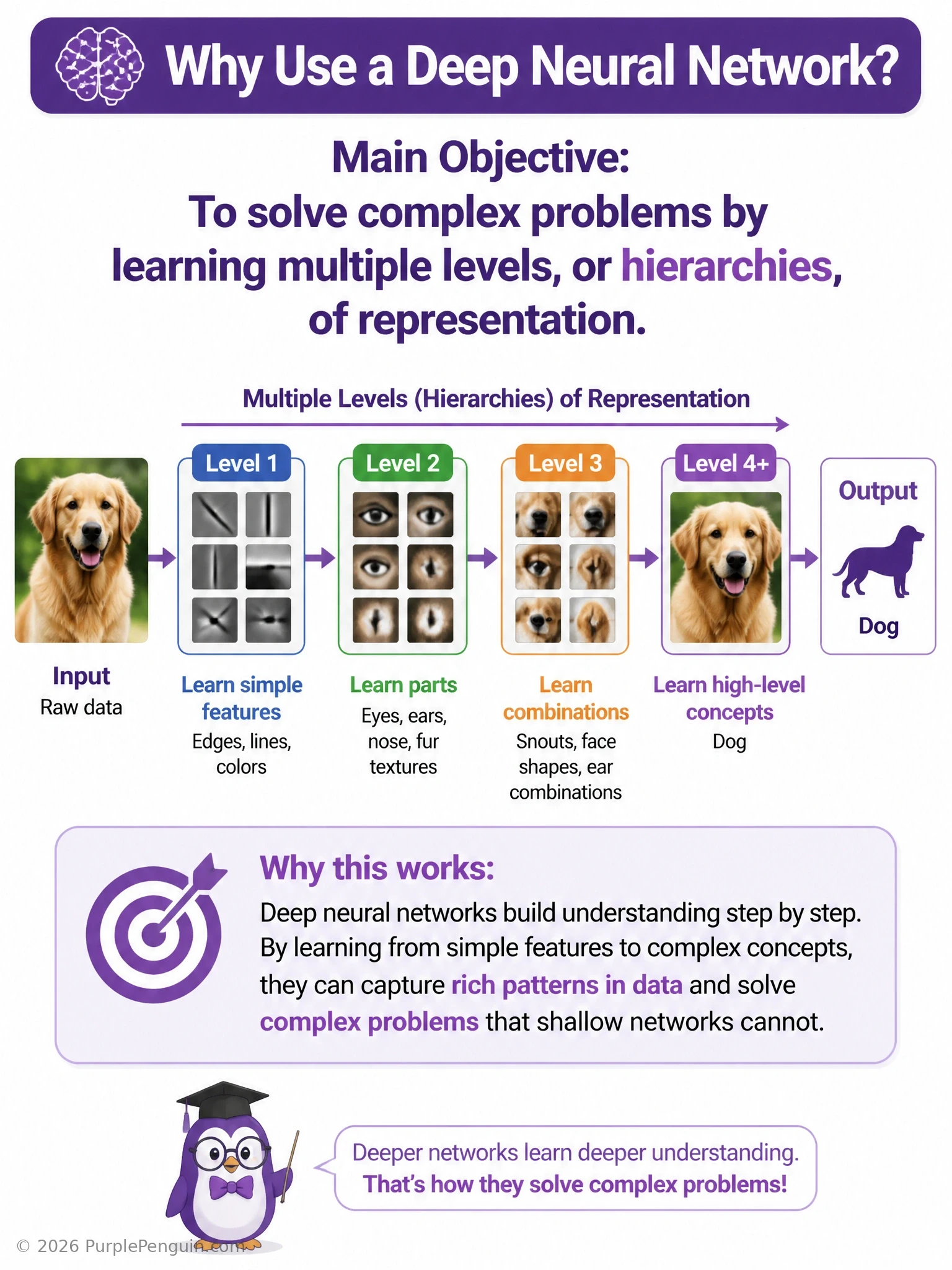 Diagram of a deep network's layers building a hierarchy of representation from edges to shapes to high-level concepts like faces, contrasted with callouts debunking myths that depth means faster training, no labeled data, or fewer parameters.