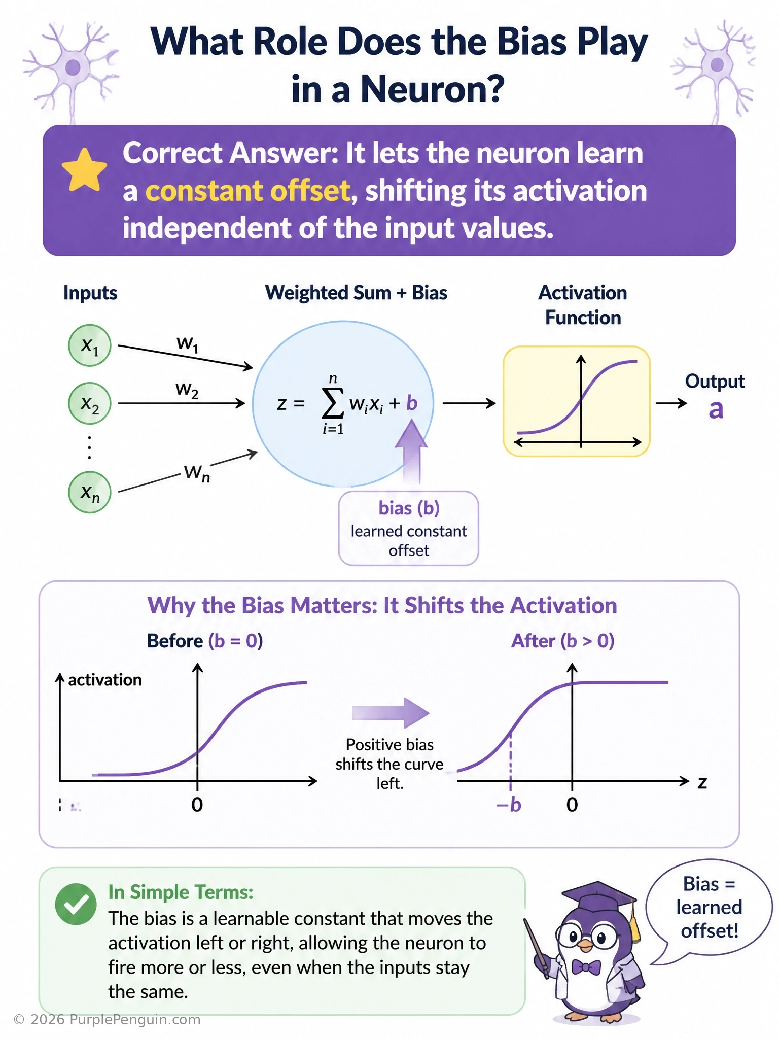 Diagram of a neuron's weighted sum plus bias equation shown as a line graph shifting up or down independent of input, contrasted with separate icons for gradient scaling, dropout, and batch normalization to show what bias is not.