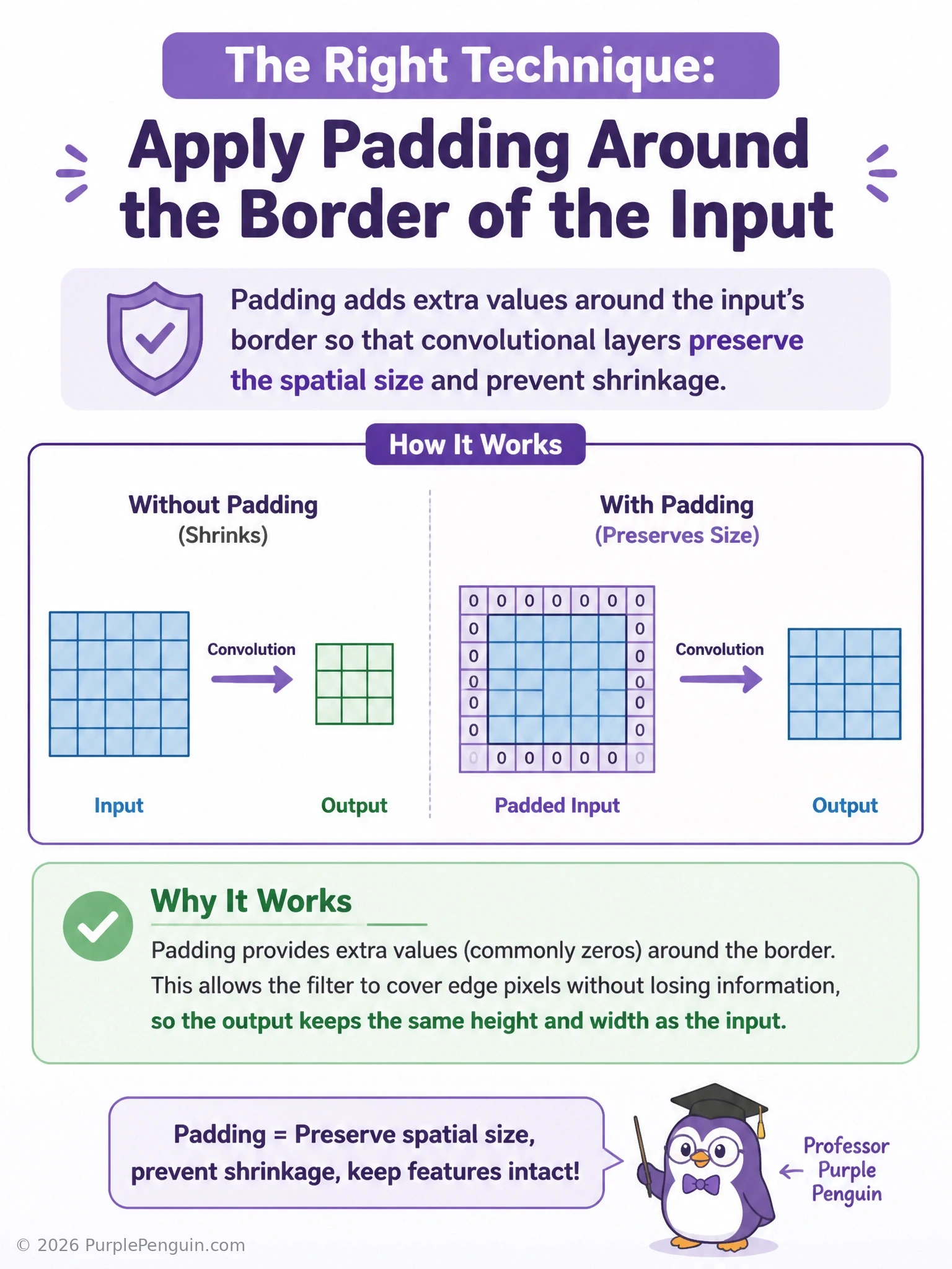 Diagram showing an input feature map shrinking after convolution without padding, versus the same input surrounded by a zero-padded border preserving its original size after convolution, with side icons for stride and filter count affecting different dimensions.