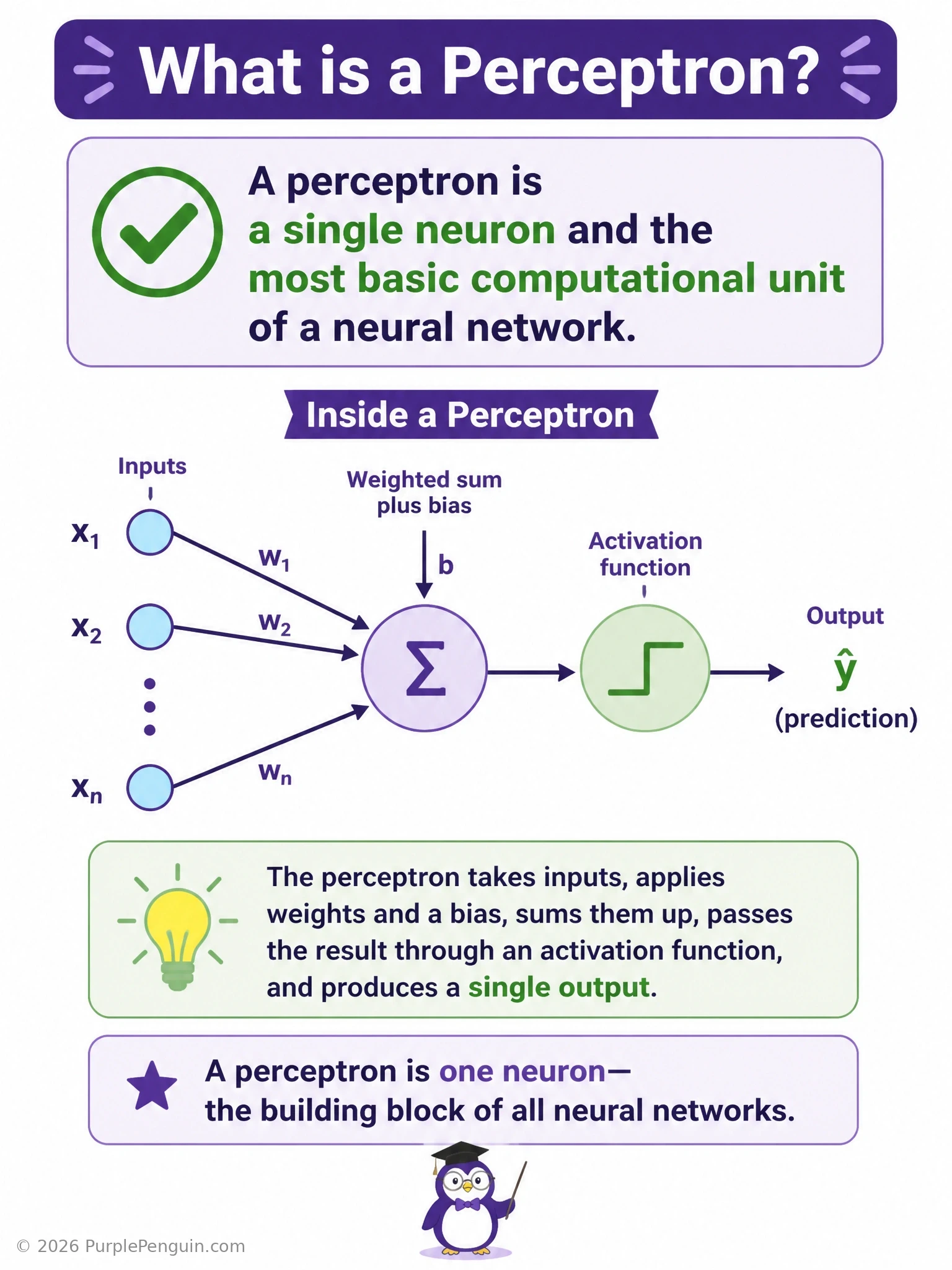 Diagram contrasting a single perceptron (one neuron with weighted inputs, bias, and activation function) at one scale against a full deep network of stacked layers at a much larger scale, with side notes distinguishing it from CNN-specific layers and unsupervised clustering algorithms.