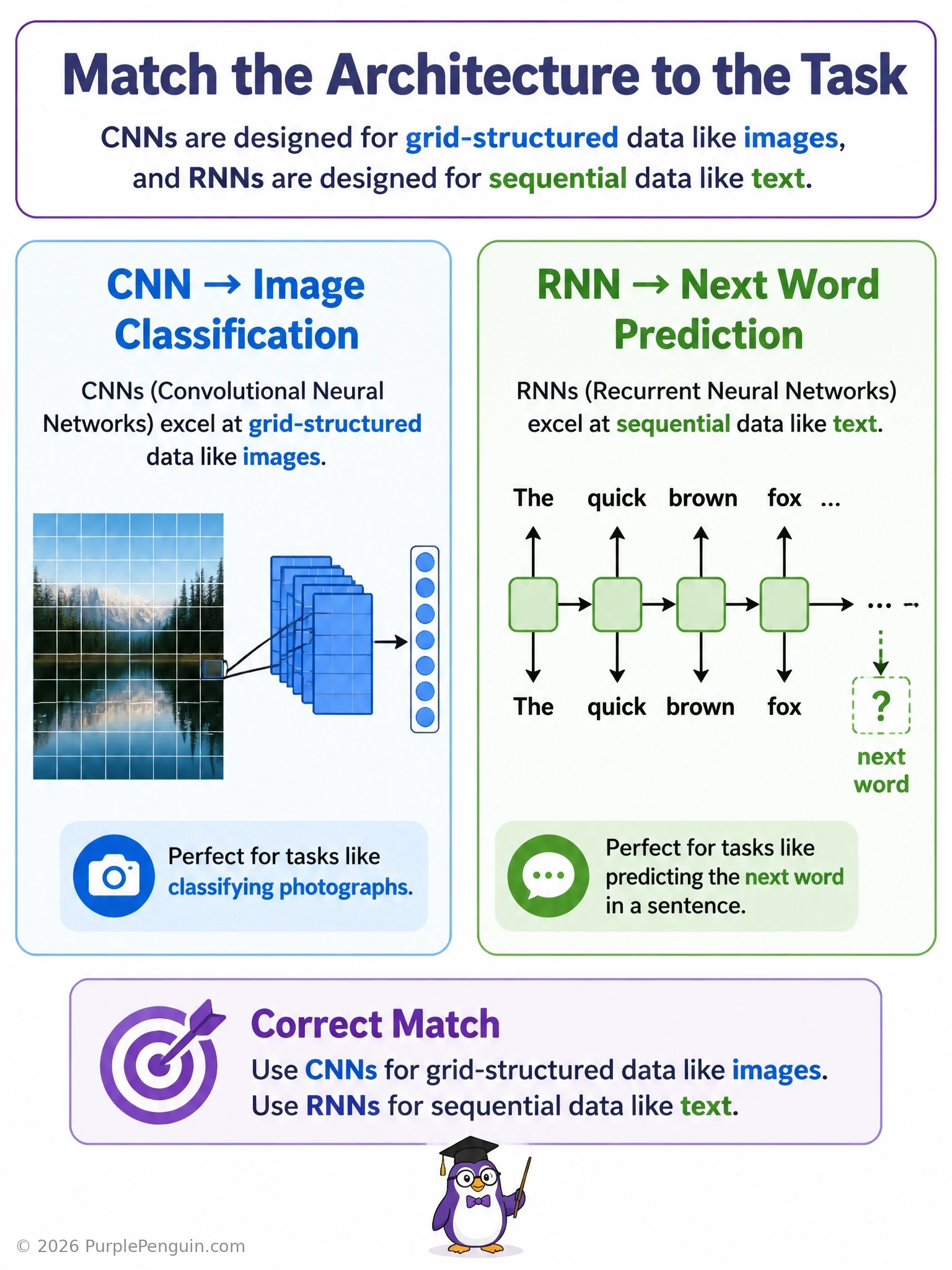 Split diagram showing a photograph as a 2D pixel grid feeding into a CNN on one side, and a sentence flowing word by word into an RNN with a carried hidden state on the other, labeling the correct architecture-to-data-type pairing.