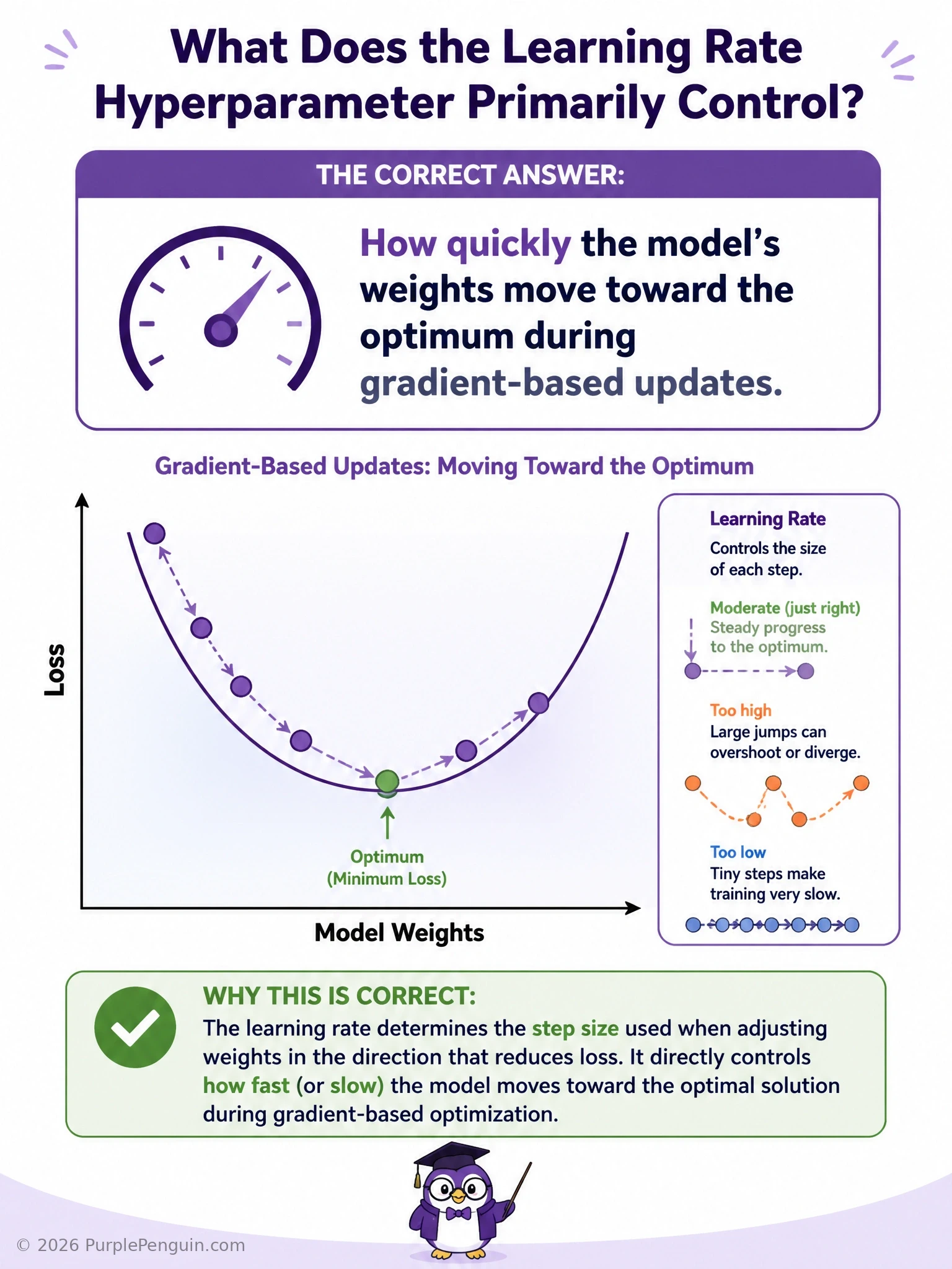 Diagram of a hiker taking steps of varying sizes down a loss-landscape hill toward the minimum, with a small step labeled low learning rate, a large overshooting step labeled high learning rate, contrasted against separate icons for layer count, dropout, and batch size.