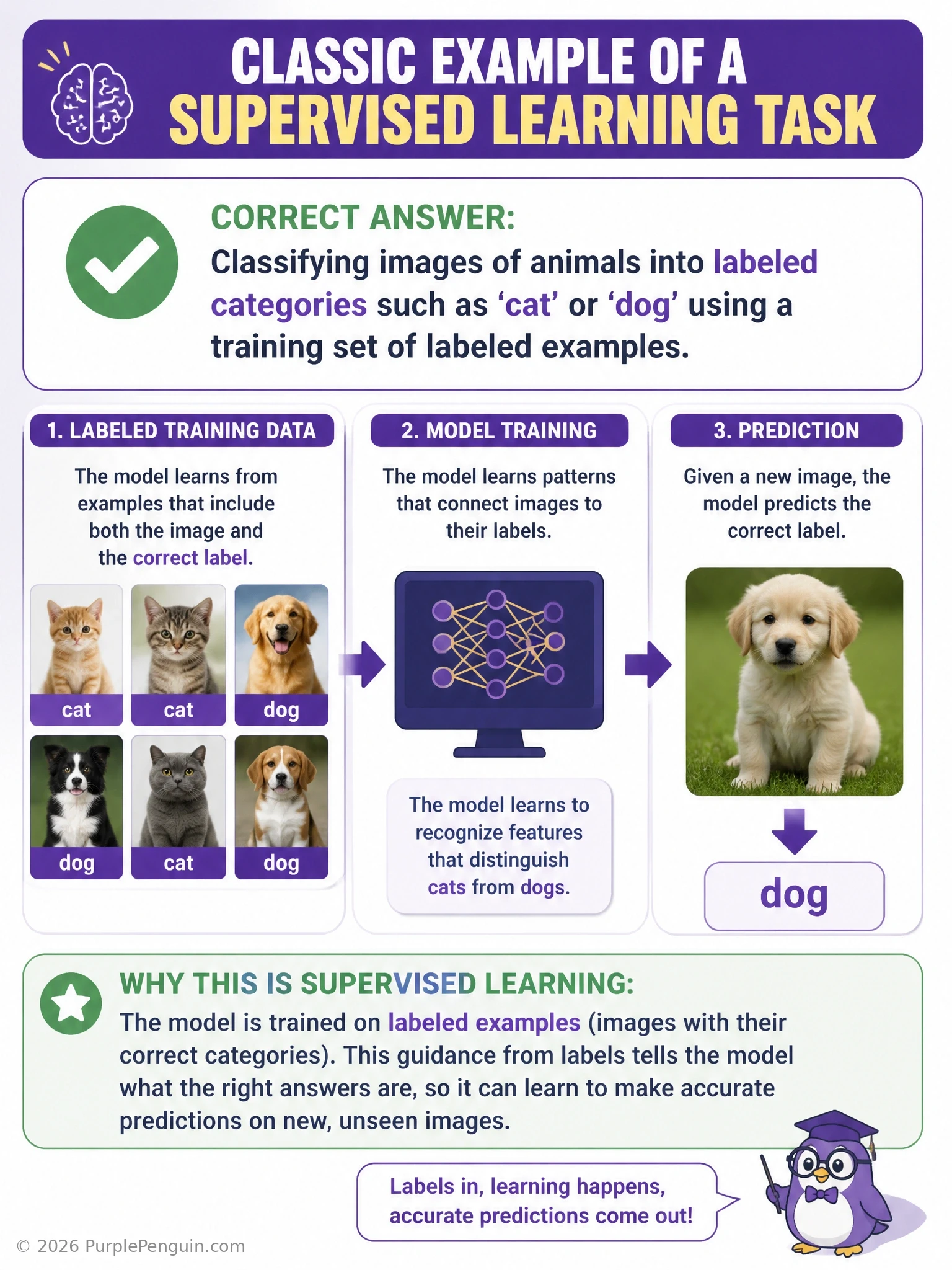 A grid of labeled animal images (cat, dog) feeding into a neural network with an output layer showing predicted labels being compared against true labels, contrasted with unlabeled dots being clustered in a separate panel.