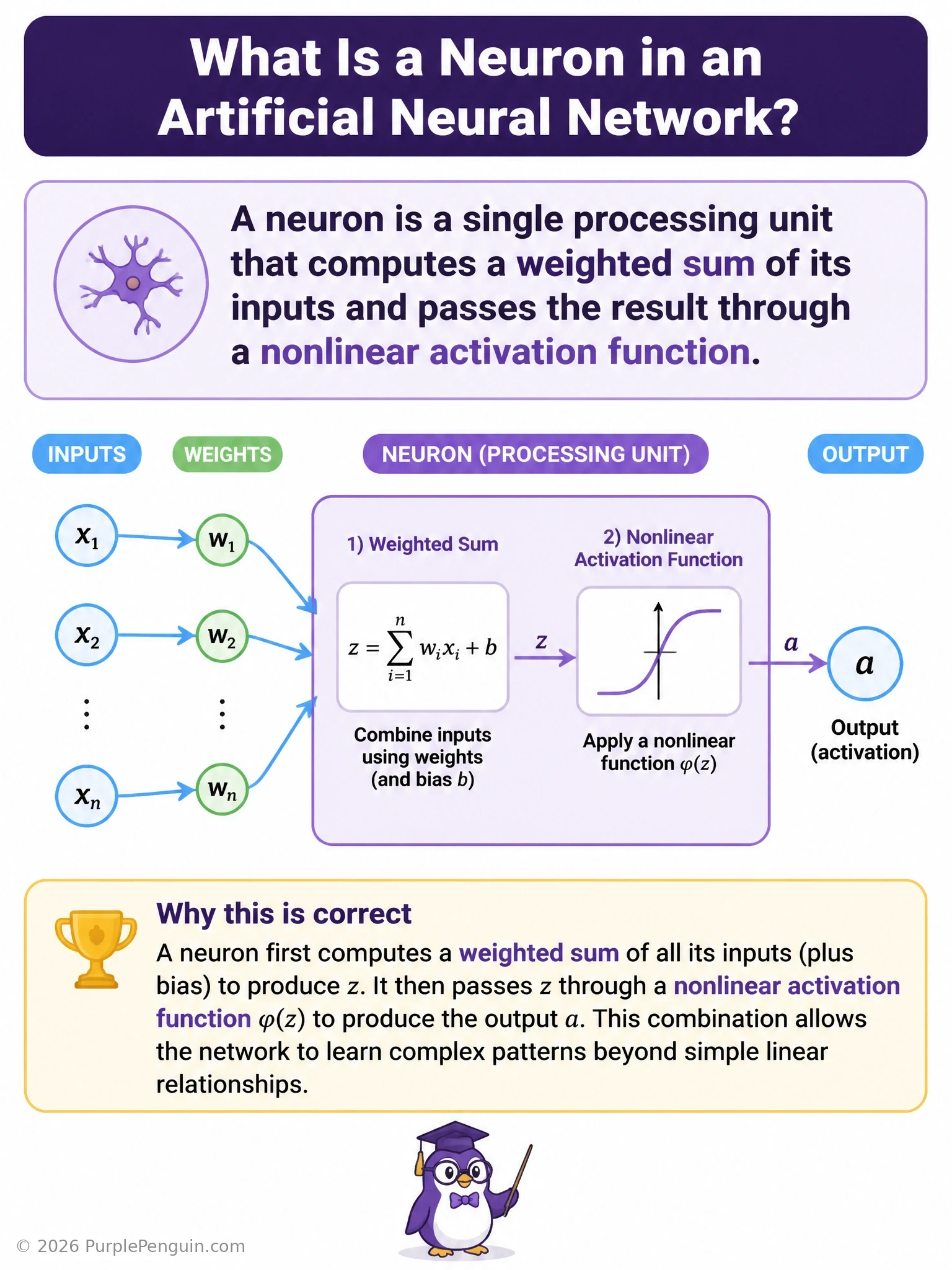 A close-up diagram of a single artificial neuron showing multiple weighted input arrows converging, summing with a bias, and passing through an activation function symbol to produce one output arrow.