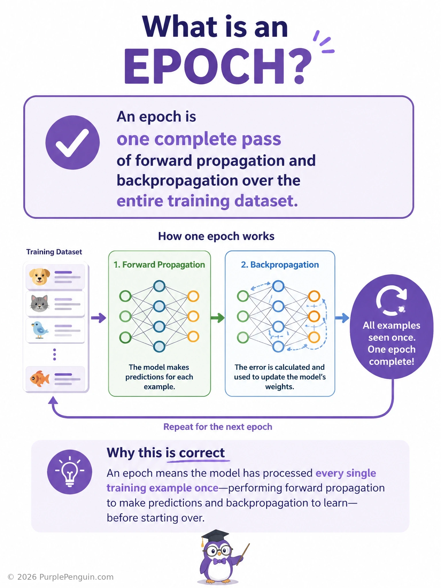 An infographic showing a stack of training data flashcards, with an arrow looping through the entire stack labeled '1 Epoch = full pass through all training data', and a zoomed-in inset showing the stack broken into smaller batches each labeled 'iteration/step', clarifying epoch vs iteration.