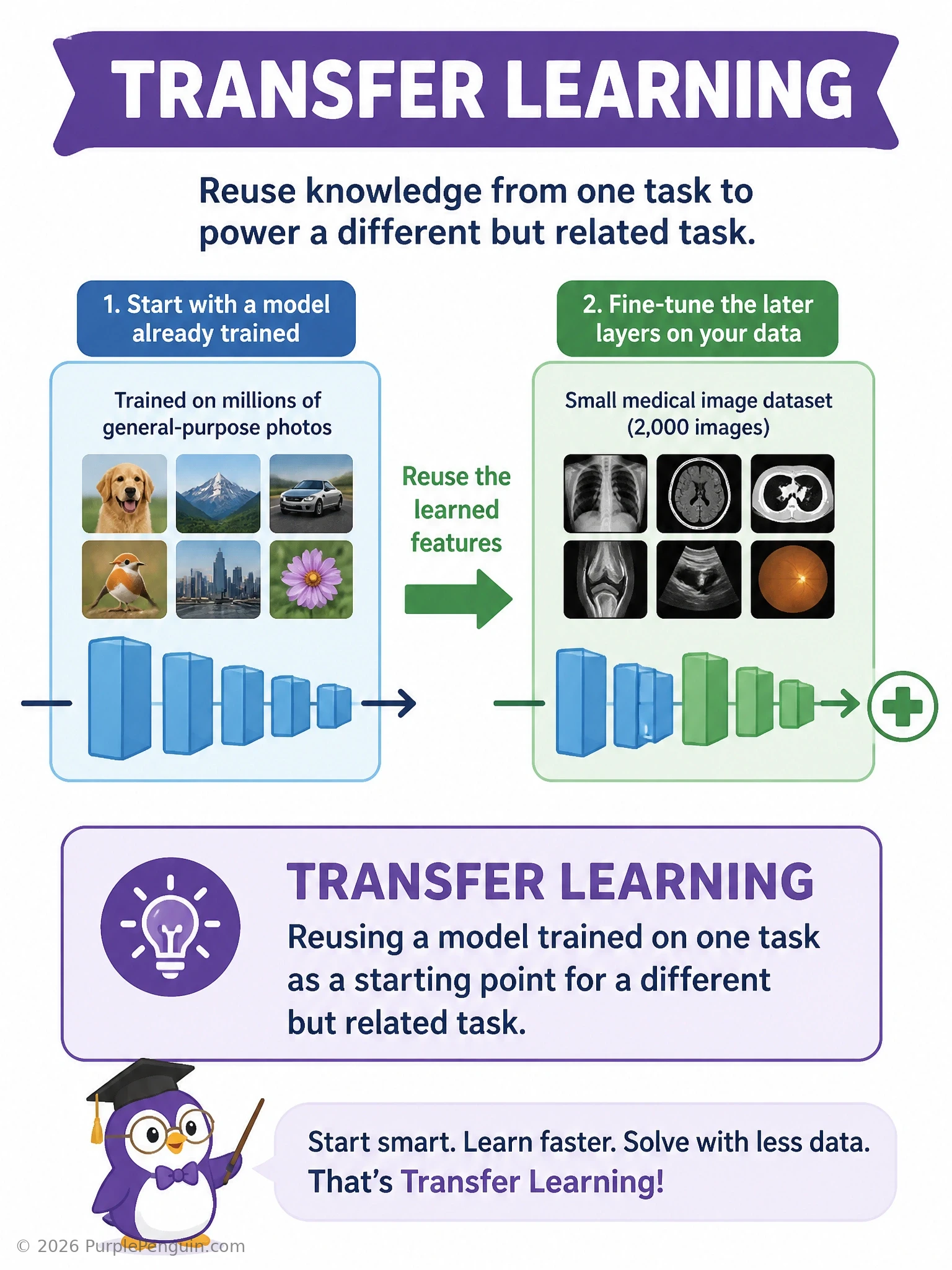 An infographic showing a large pretrained network icon (millions of generic photos flowing in) with its early/middle layers labeled 'general features: edges, textures, shapes' being copied over into a smaller network, with an arrow to a small medical dataset icon (2,000 X-ray images) feeding into the later layers labeled 'fine-tuned for new task', title 'Transfer Learning'.