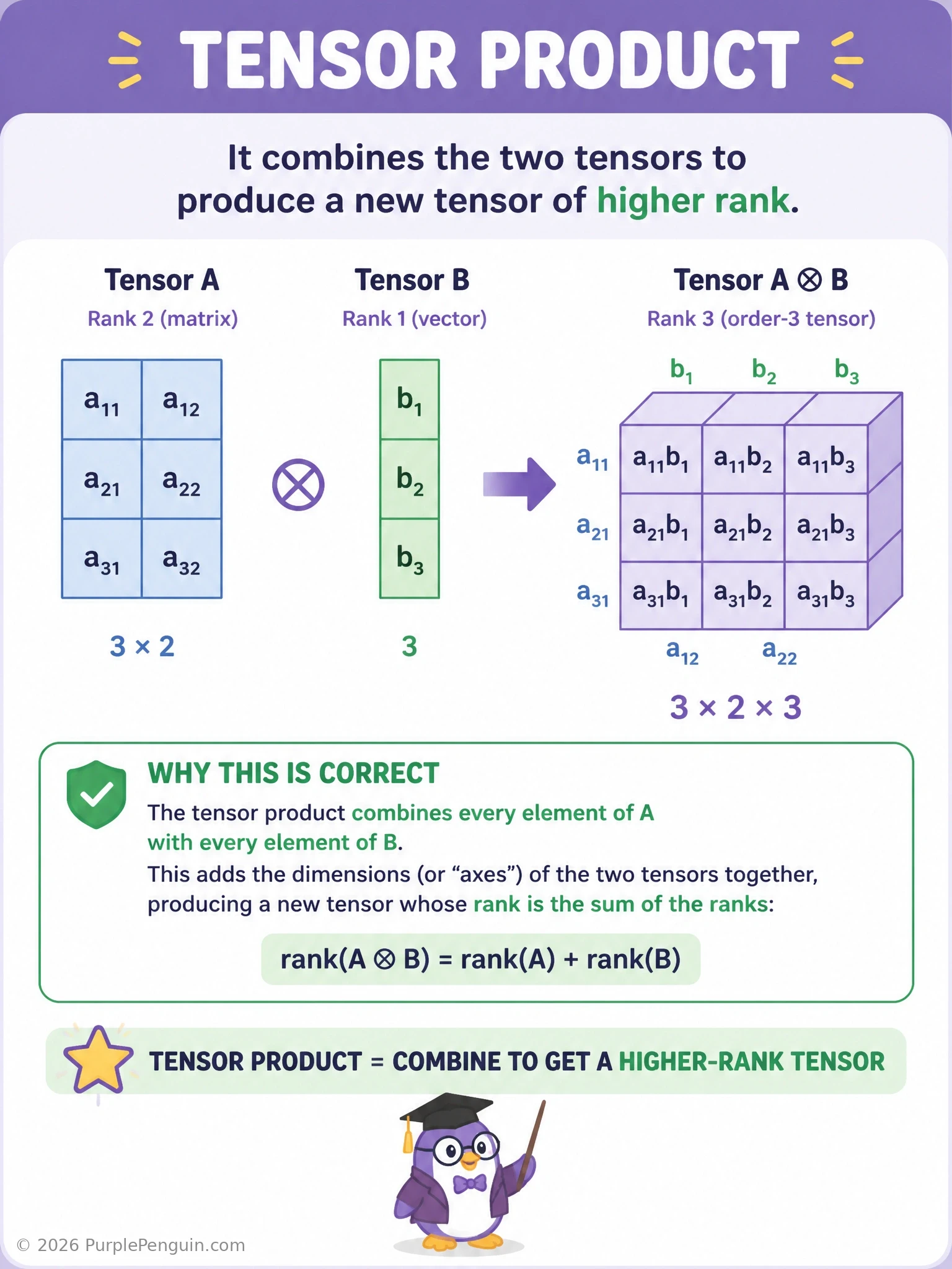 Side-by-side comparison diagram: a low-rank vector and a low-rank matrix being combined via a tensor product into a visibly higher-dimensional cube/array shape, with arrows showing every entry pairing, contrasted with a smaller inset showing element-wise multiplication keeping the same shape.