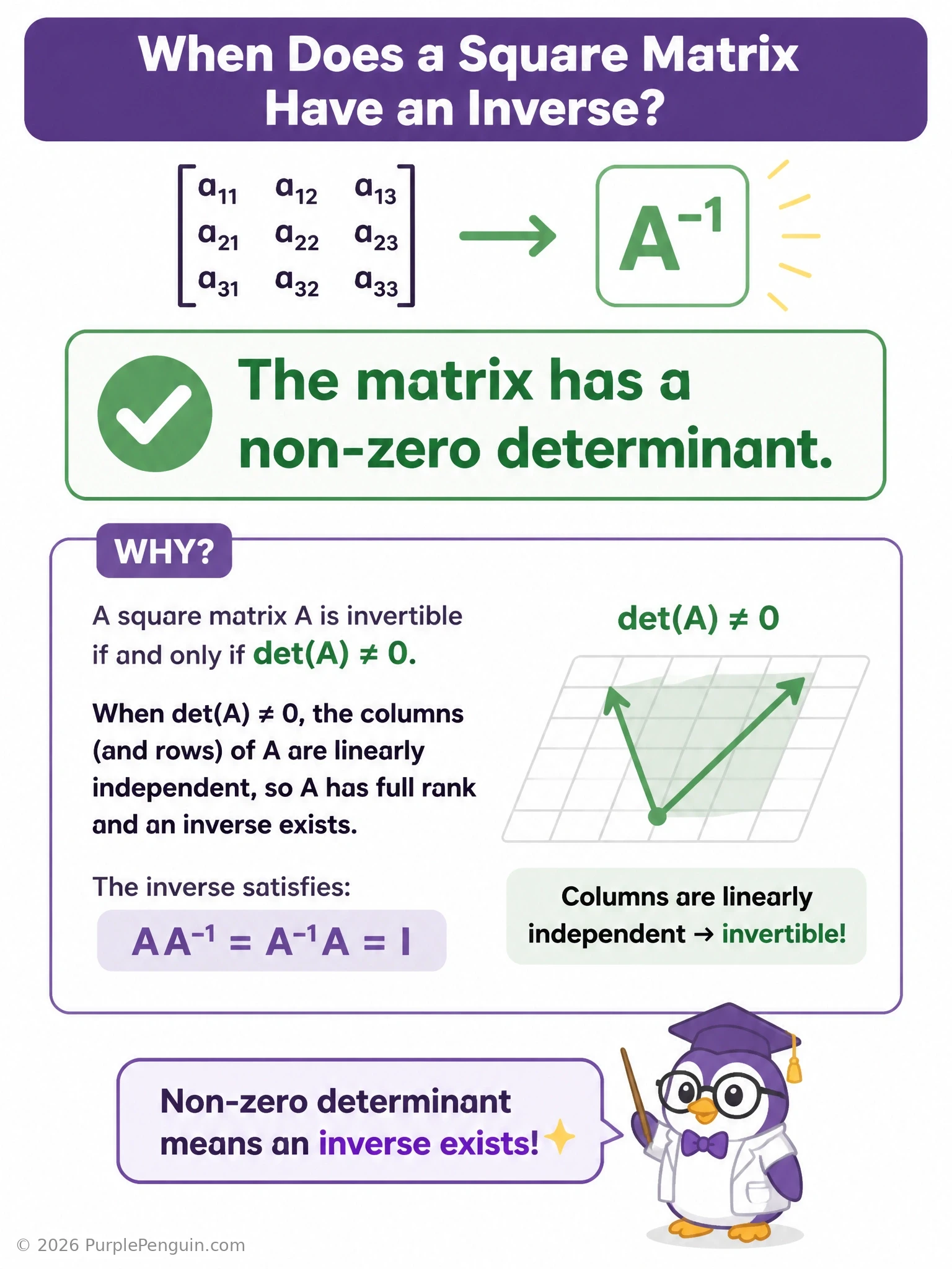 A visual comparing an invertible matrix transformation (a square grid mapped to a rotated/stretched but still full parallelogram) versus a singular matrix transformation (the same grid collapsed flat onto a line), with a determinant formula and 'det ≠ 0 → invertible' / 'det = 0 → no inverse' callouts.