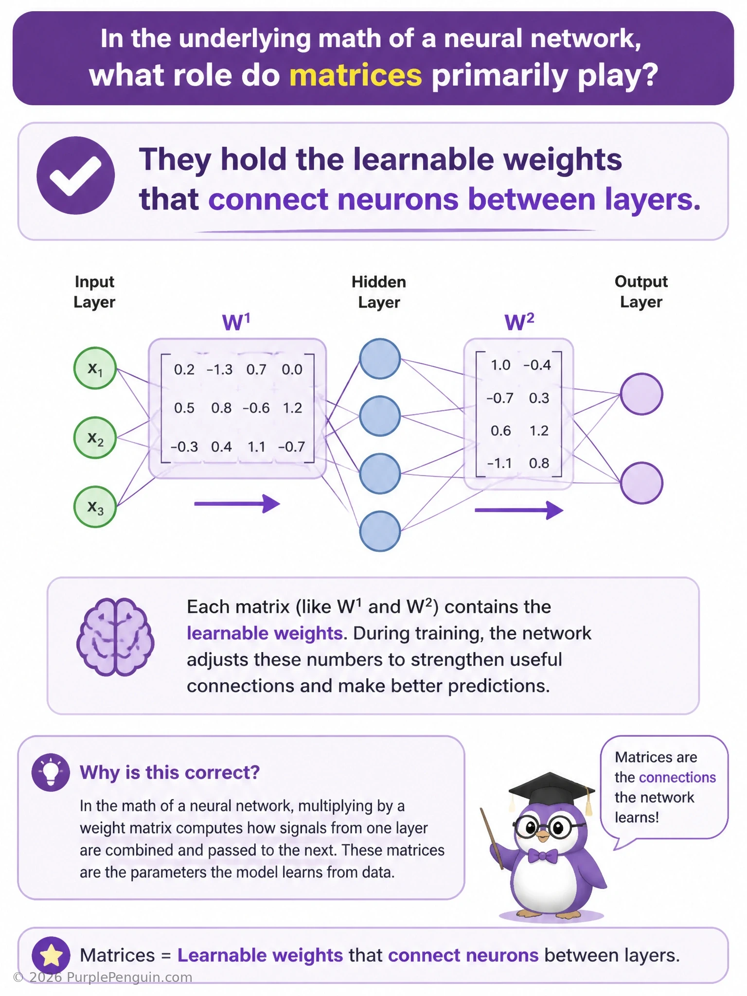 A neural network layer diagram showing input neurons connected by labeled edges to output neurons, with those edge weights collected into a weight matrix W displayed alongside the equation z = Wx + b, and a small GPU icon suggesting matrix multiplication is the core computation.