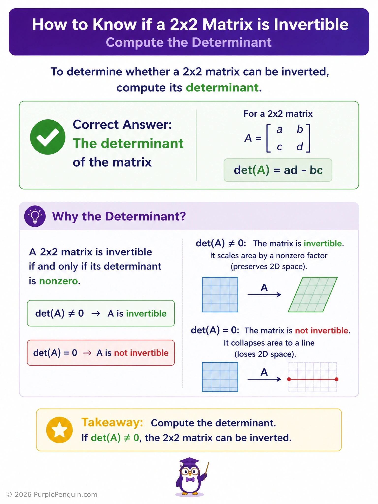 A 2x2 matrix with entries a, b, c, d shown next to the formula det = ad - bc. Two side-by-side panels: one showing a nonzero-determinant matrix transforming a square into a parallelogram (area preserved, reversible), and another showing a zero-determinant matrix flattening the square onto a line (area collapses to zero, irreversible). Label the second panel 'singular — no inverse exists'.