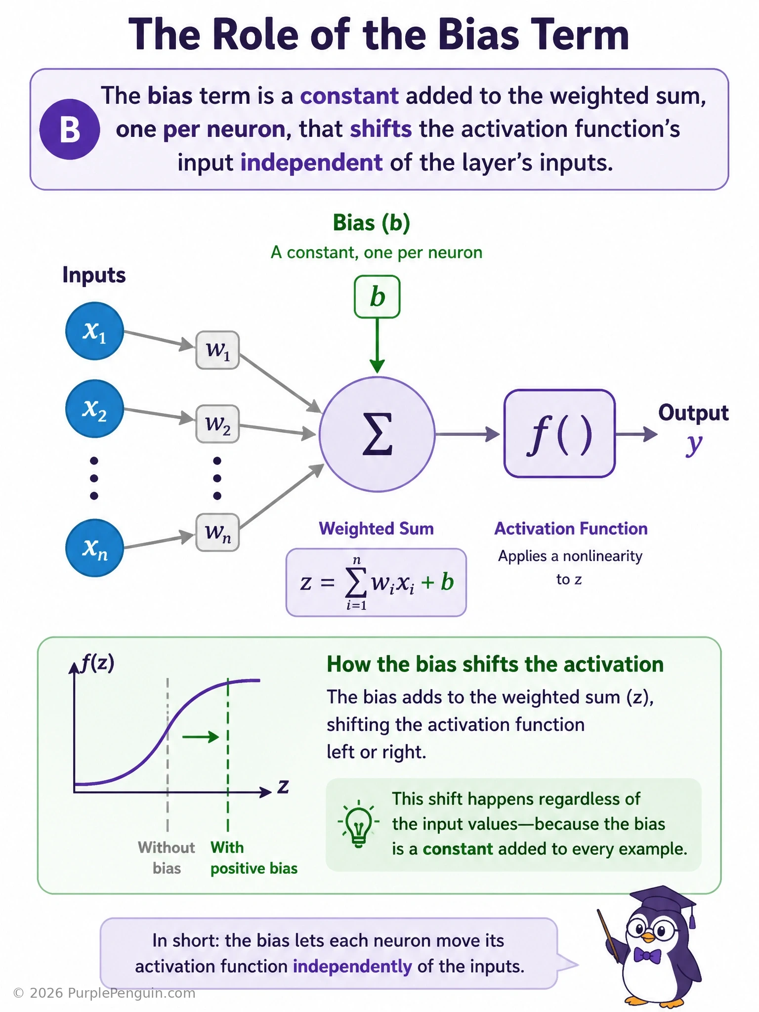 A single neuron diagram: multiple input arrows x1, x2, x3 each multiplied by weights w1, w2, w3, summed together, then a separate constant 'b' (bias) added into the same summation node before the result passes through an activation function box. Include a small 2D graph showing how changing bias shifts a line up/down (y-intercept) while weight changes its slope, to illustrate the additive vs multiplicative distinction.