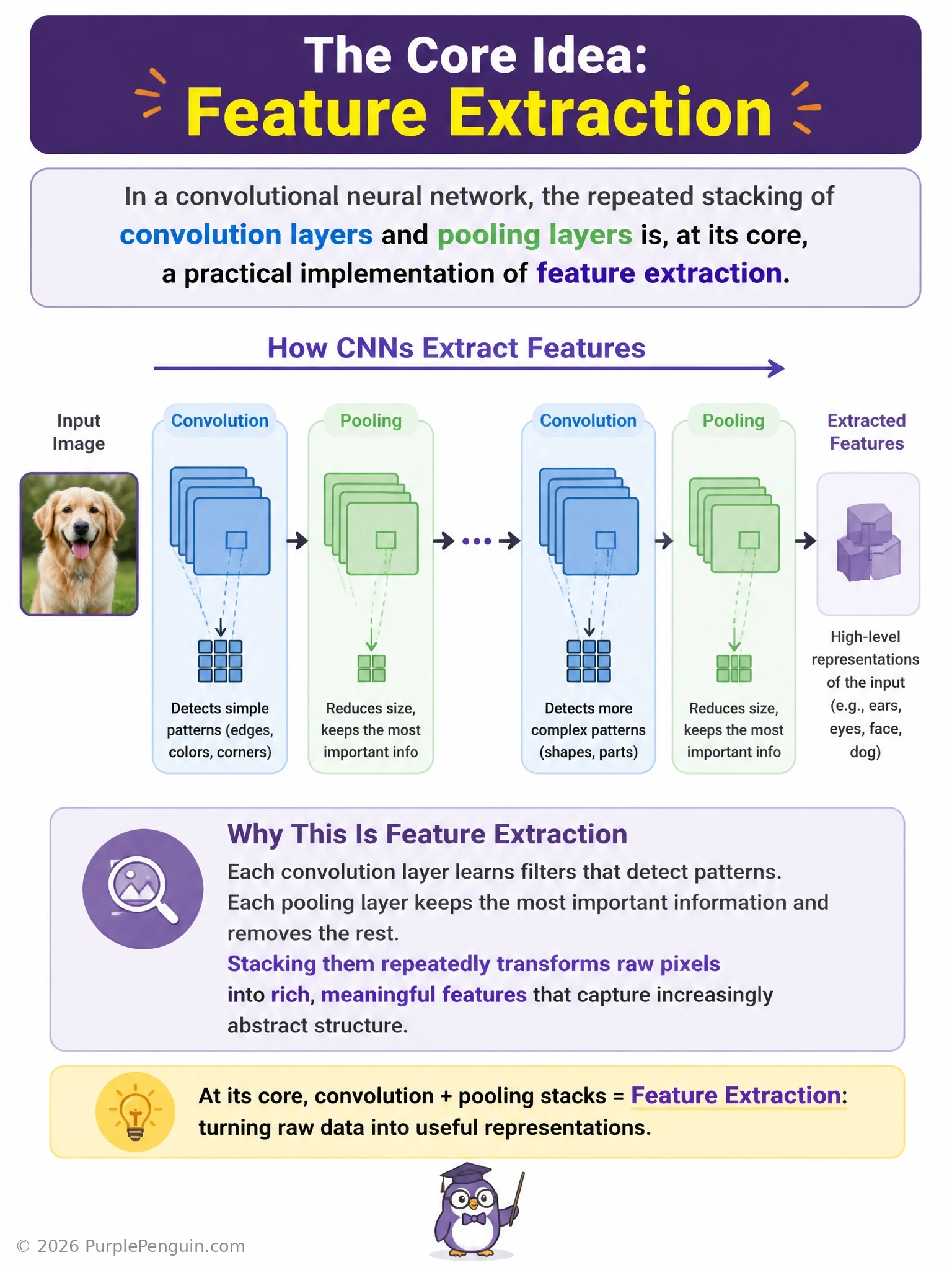 A CNN pipeline diagram showing a raw image feeding into successive convolution+pooling blocks, with each stage labeled to show increasingly abstract features being extracted: edges in the first block, shapes/textures in the middle block, and object parts in the deepest block, before flattening into a classifier.