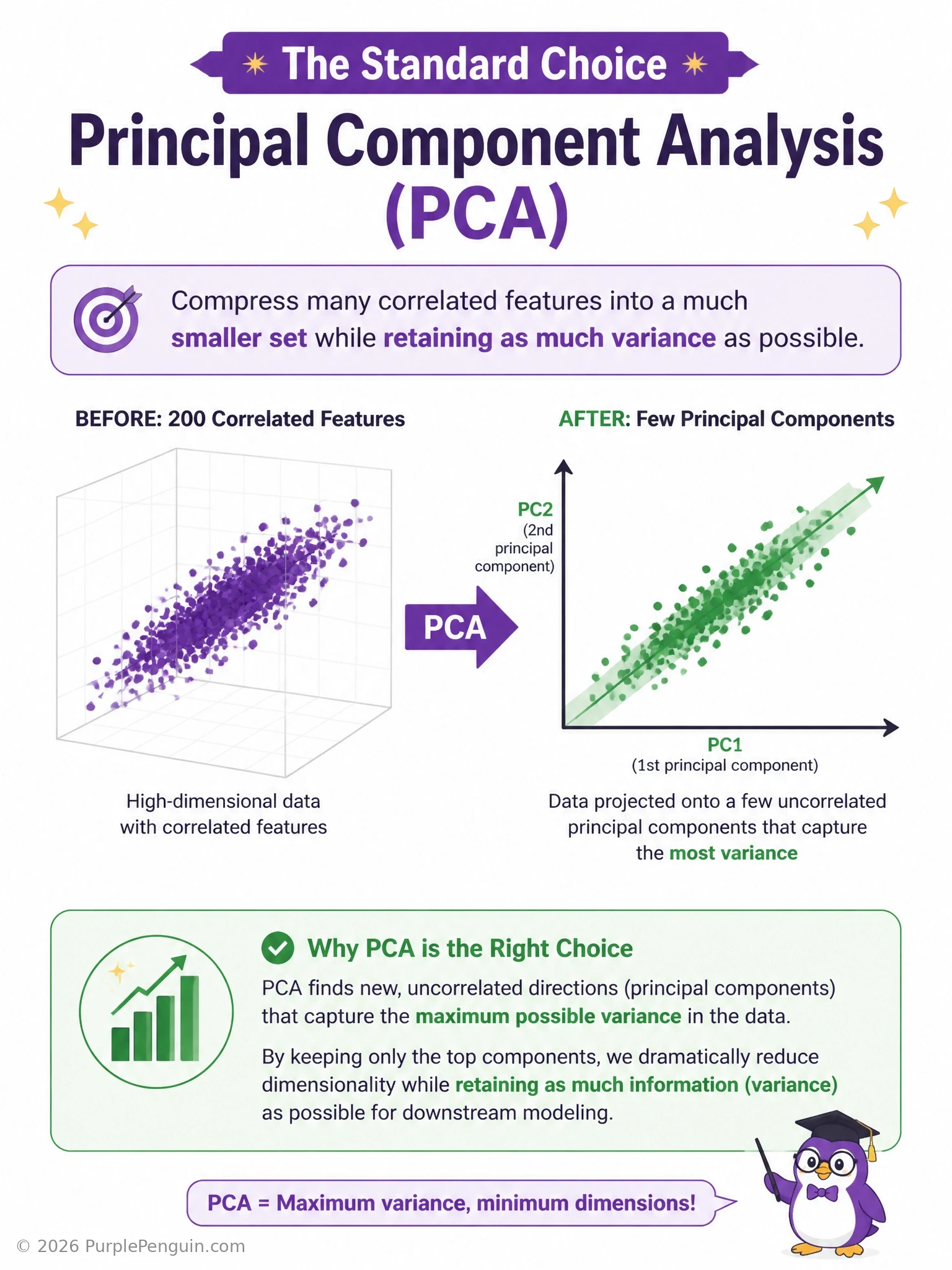 A scatter plot of correlated 2D data with the two principal component axes drawn as arrows through the cloud of points — one long arrow along the direction of maximum variance (PC1) and a shorter perpendicular arrow (PC2) — with a side panel showing the data projected onto just PC1 to illustrate dimensionality reduction while preserving spread.