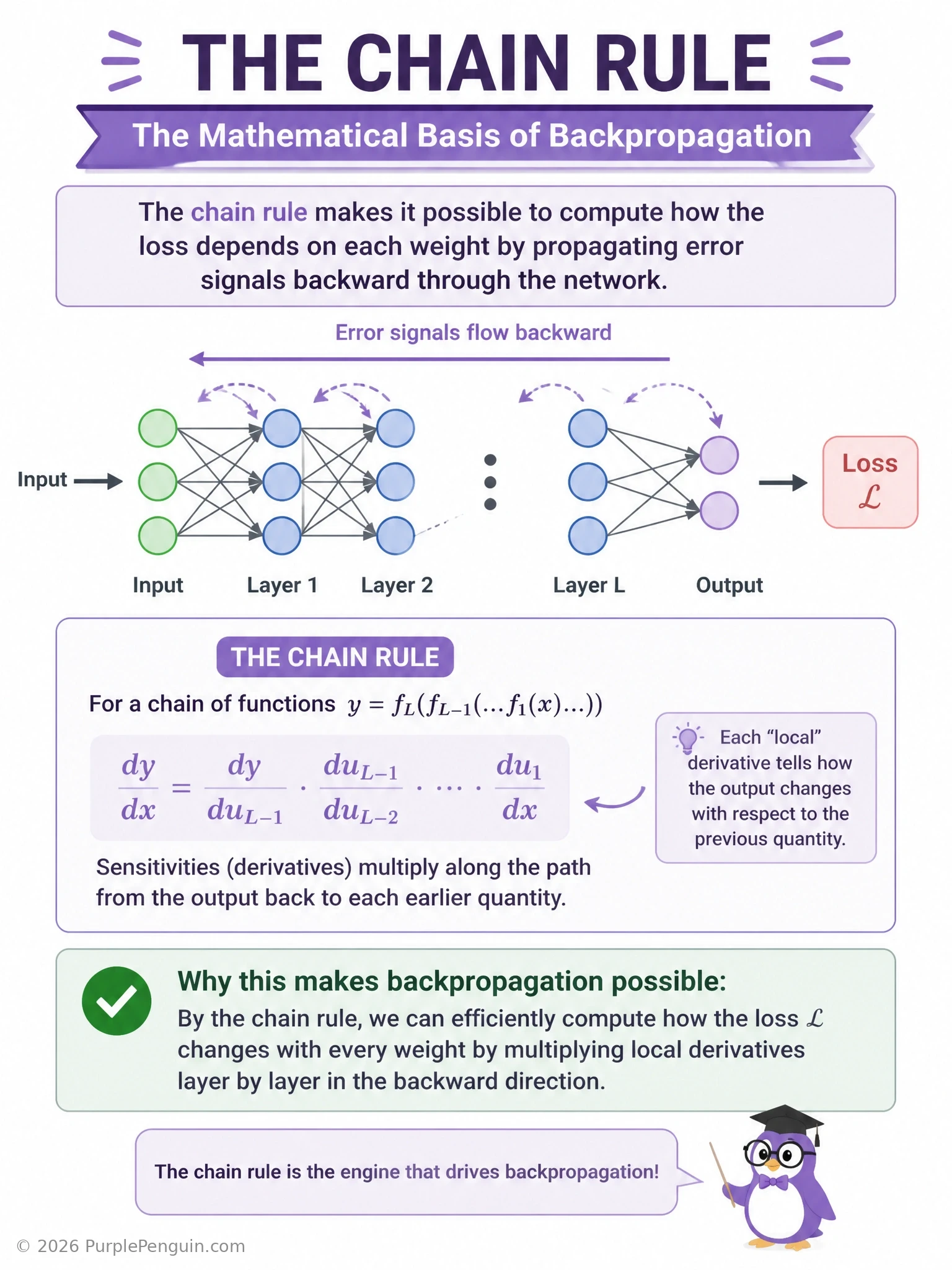 A multi-layer neural network diagram with the forward pass shown left-to-right through several layers, and a backward arrow overlaid showing the chain rule multiplying local derivatives (d(loss)/d(output) times d(output)/d(hidden) times d(hidden)/d(weight)) as it propagates from the loss back to an early-layer weight.