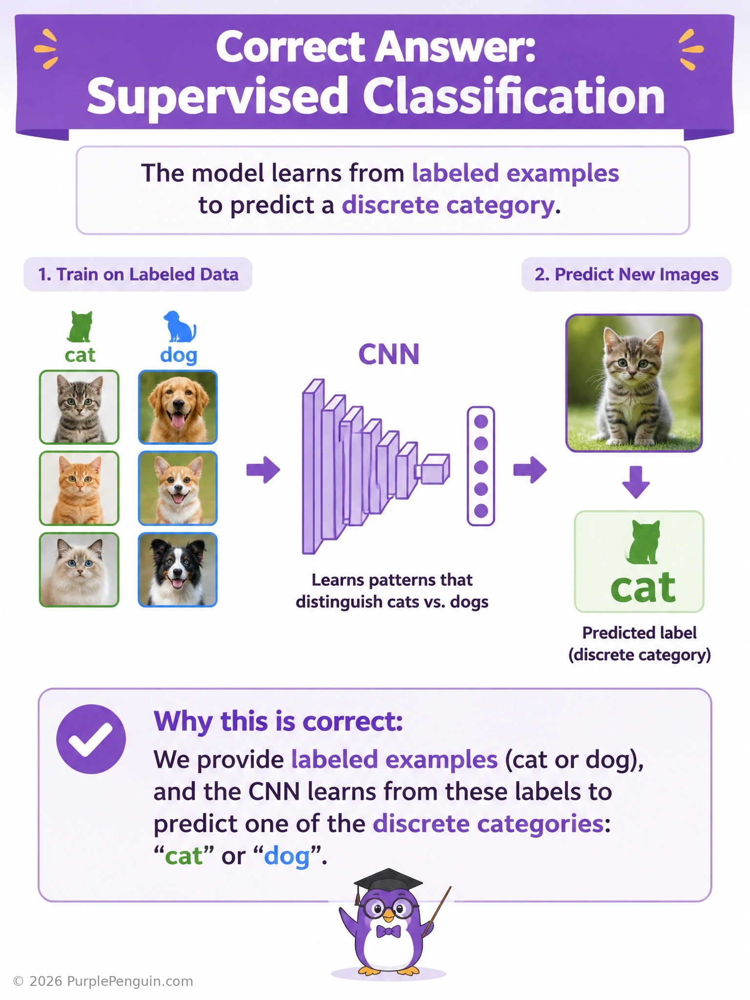 A simple diagram showing labeled training images of cats and dogs feeding into a CNN icon, with an arrow pointing to a predicted label output, with a small callout box reading 'Supervised Classification: labels present, discrete categories'.
