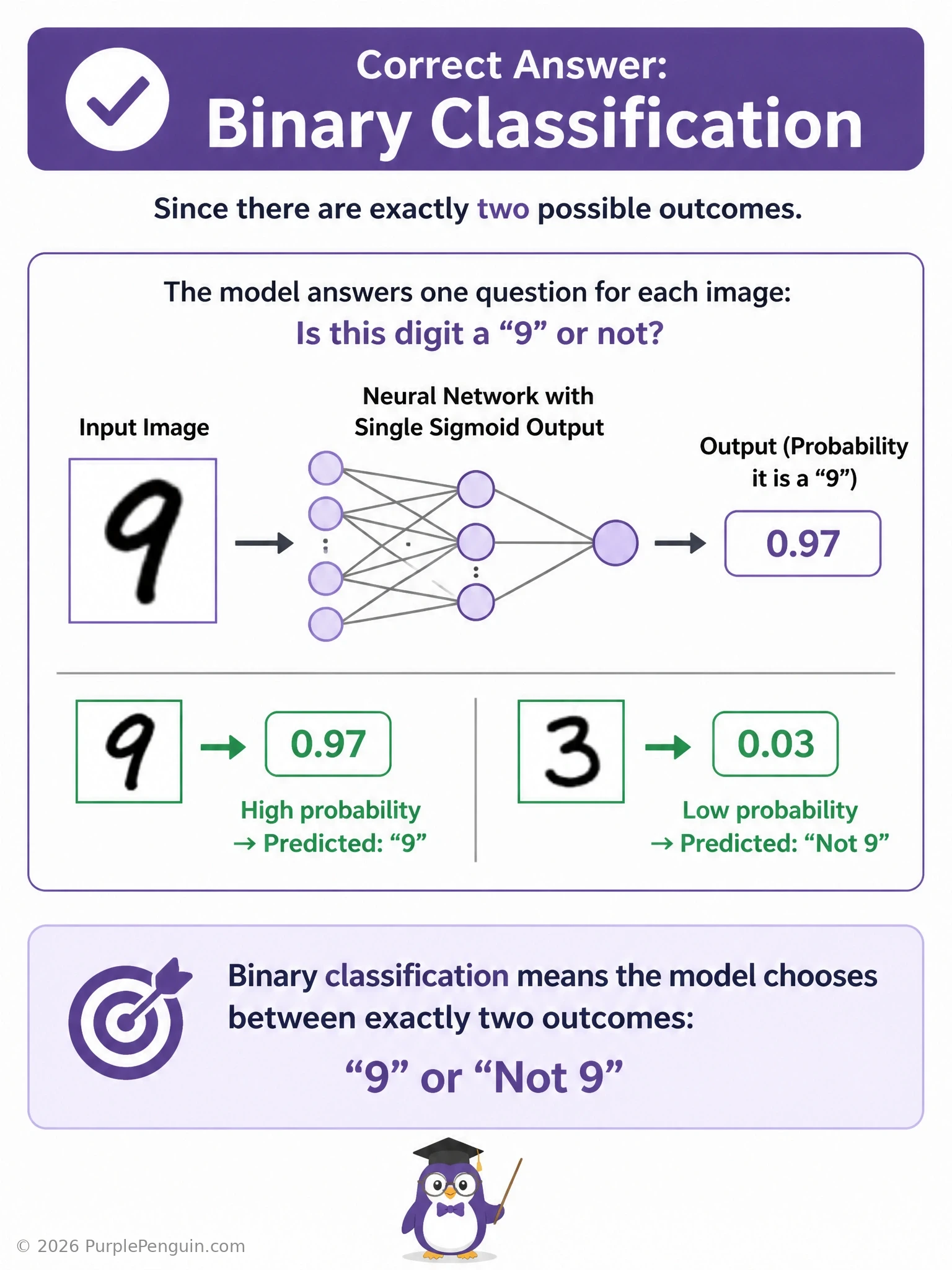 A diagram showing a digit image flowing into a CNN with a single sigmoid output neuron, branching into two labeled outcomes 'is a 9' and 'not a 9', contrasted with a grayed-out ten-neuron softmax layer labeled 'multi-class (not this case)'.