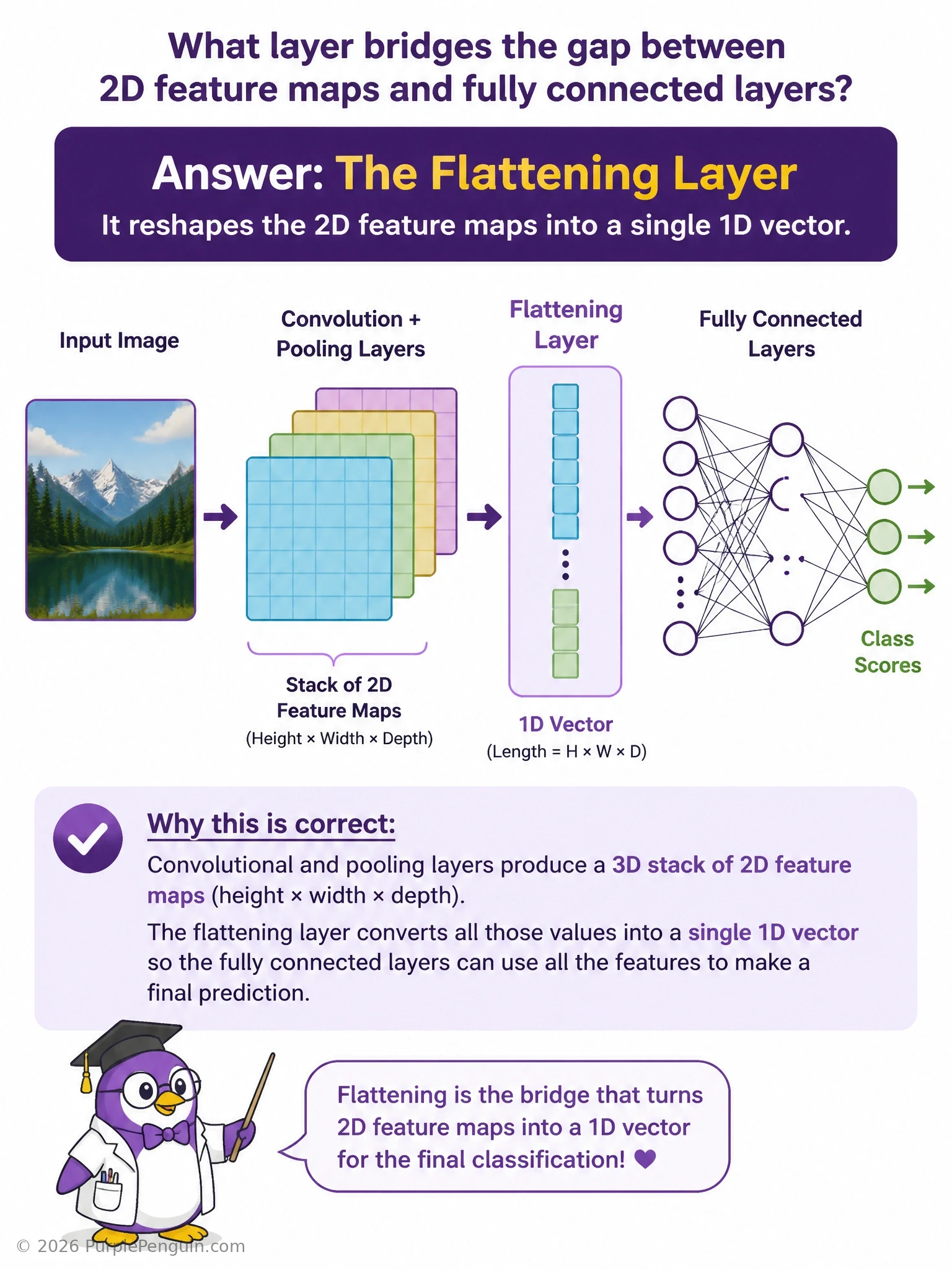 Diagram showing a stack of 2D convolutional feature maps being reshaped by a flattening layer into a single long 1D vector, which then feeds into a fully connected classification layer, contrasted with pooling (spatial downsampling) and batch normalization (value rescaling) shown as separate, non-reshaping operations.
