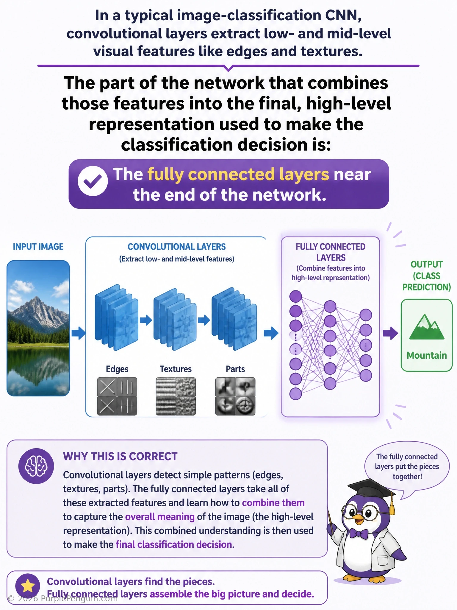 Diagram of a CNN pipeline showing convolutional and pooling layers progressively extracting edges, textures, and object-part features, feeding into a flattening step, then fully connected layers combining those high-level features into a final classification decision, with an inspector or decision-maker icon at the dense-layer stage.