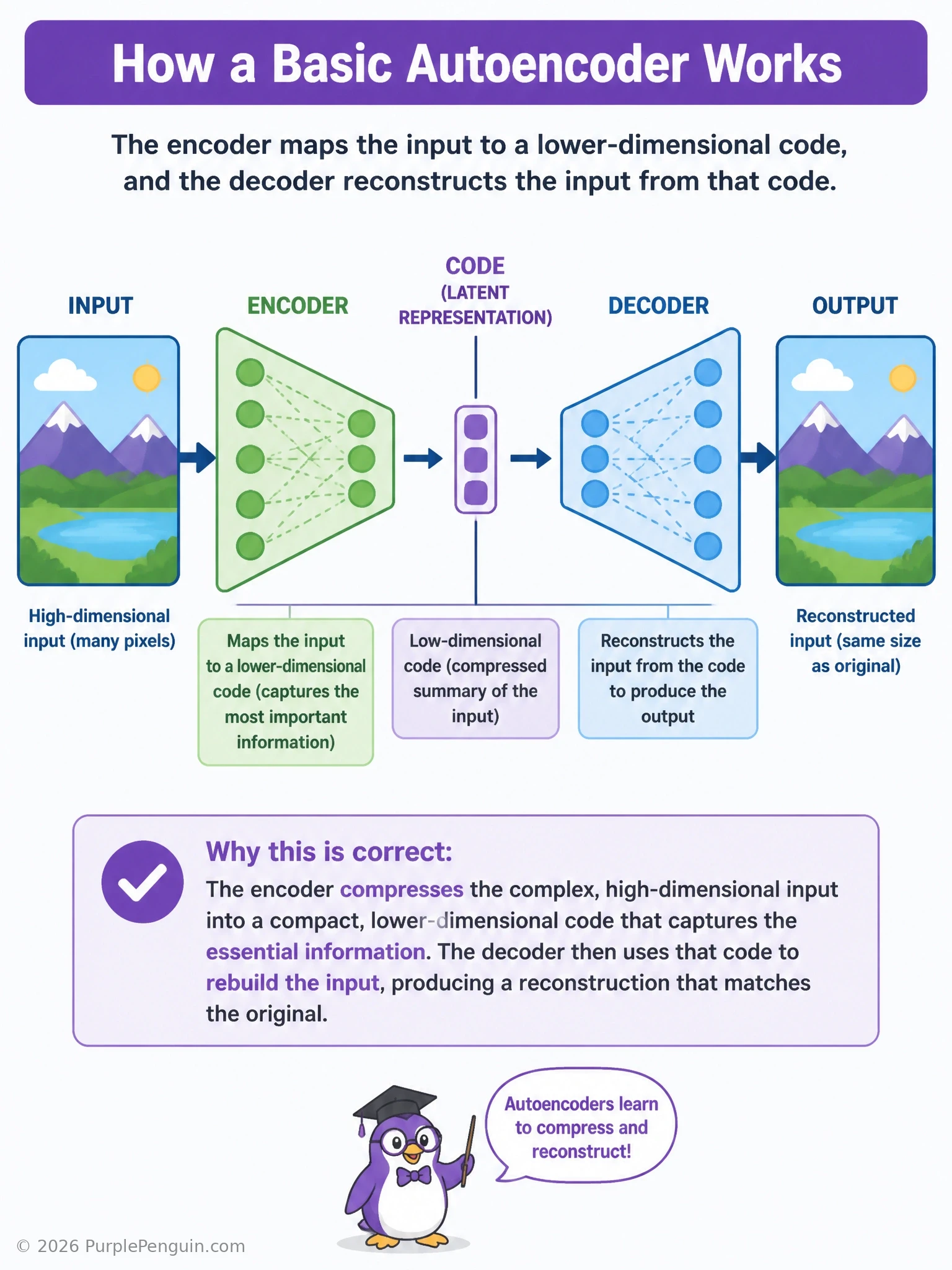 Diagram of a basic autoencoder: an input image or vector flowing into an encoder that progressively narrows into a small bottleneck latent code, then a decoder that progressively widens back out to reconstruct an output resembling the original input, with a reconstruction-loss comparison arrow between input and output.