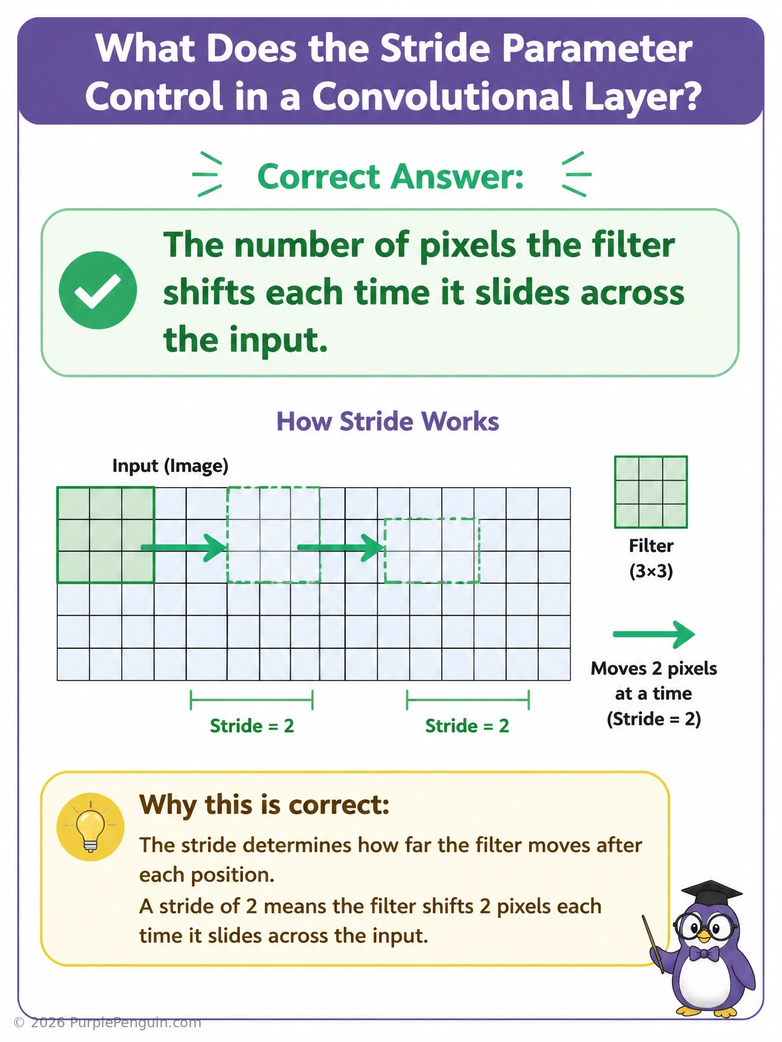 Illustrate a filter window sliding across a grid of pixels, showing two scenarios side by side: stride of 1 (small steps, dense overlapping positions, large output map) versus stride of 2 (larger jumps, fewer positions, smaller output map). Label the step size and resulting output dimensions in each case.