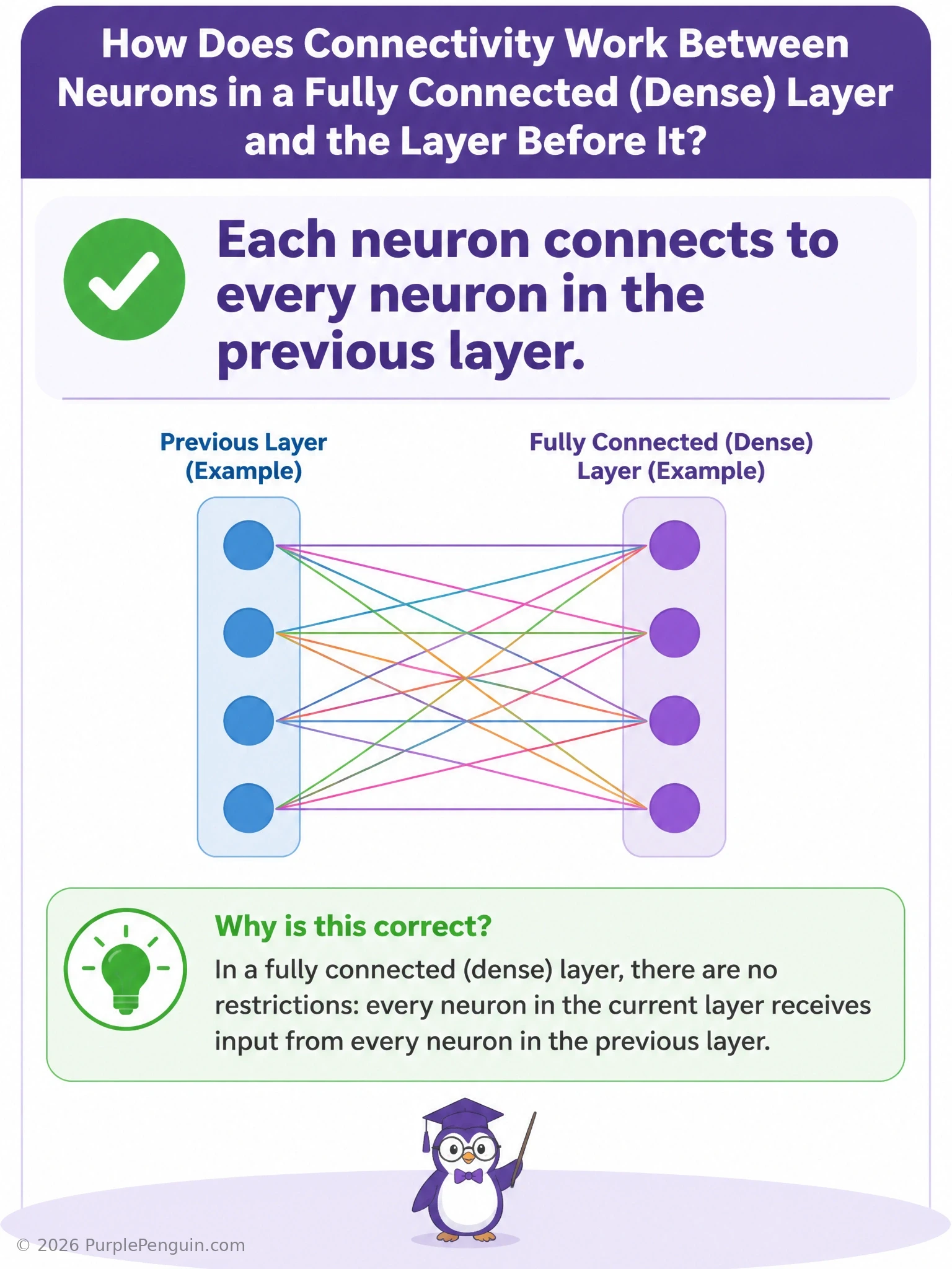Diagram two neuron layers stacked vertically, with every neuron in the previous layer connected via a line to every neuron in the current layer, forming a dense mesh of connections, contrasted in a smaller inset with a convolutional layer showing only local, restricted connections.