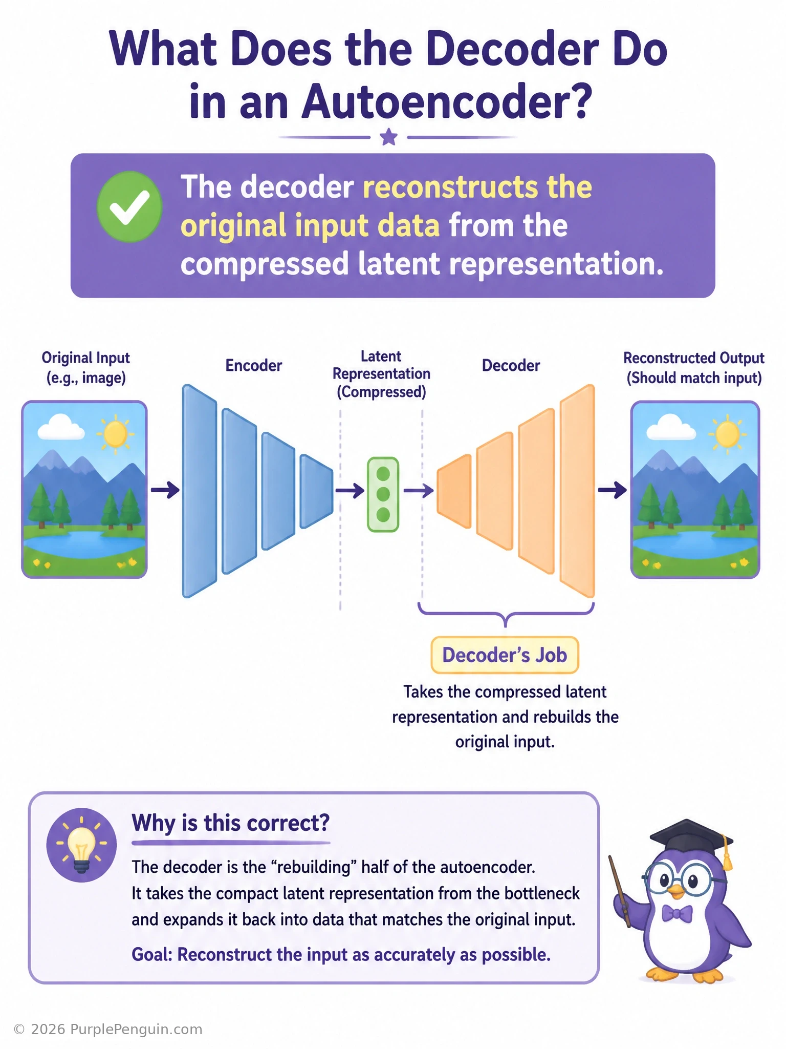 Diagram an autoencoder pipeline with the input image entering the encoder, compressing down to a small latent bottleneck, then the decoder expanding that latent code back out into a reconstructed output image, with labeled arrows showing the direction of compression versus reconstruction.