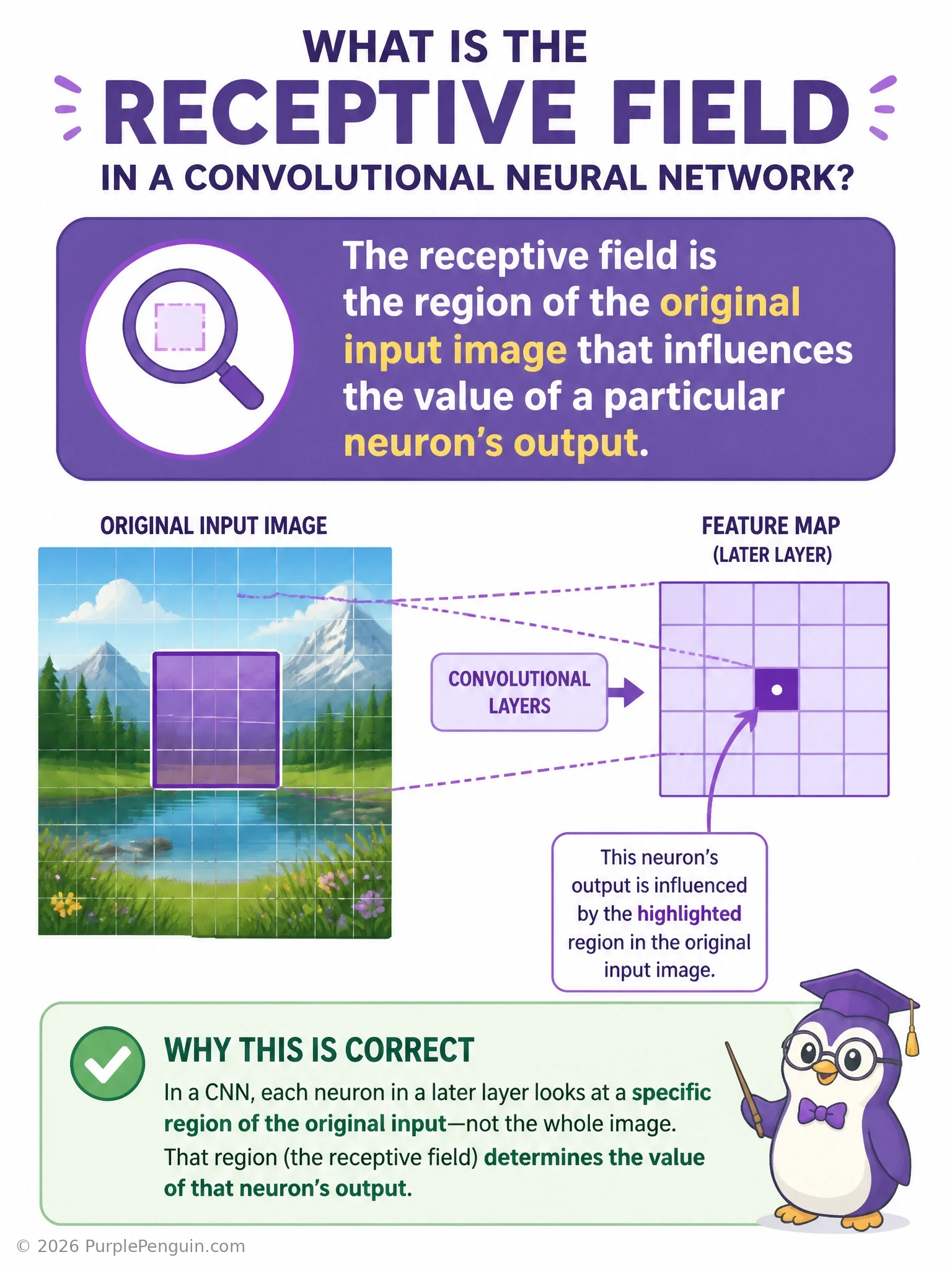 Diagram of a CNN with multiple stacked convolutional layers, showing how a neuron's receptive field expands from a small patch in the first layer to a much larger region of the original input image at deeper layers.