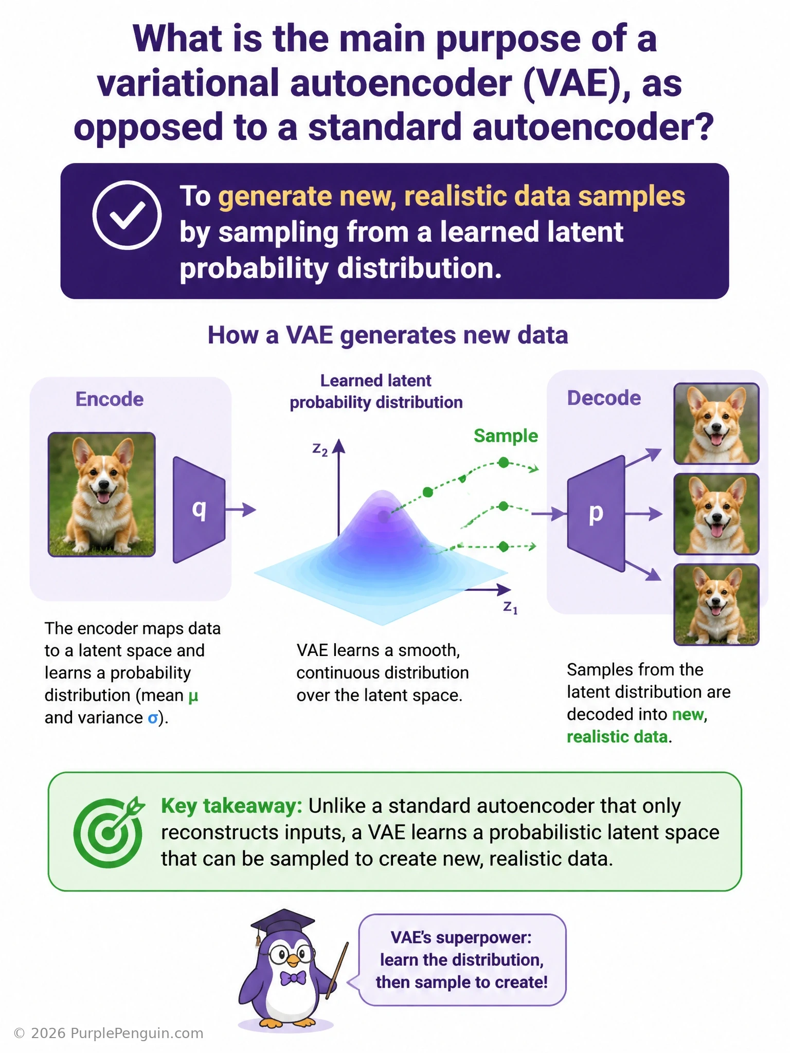 Diagram of a variational autoencoder showing an encoder outputting a mean and variance for a latent distribution, a sampling step, and a decoder generating new realistic outputs from randomly sampled latent points.