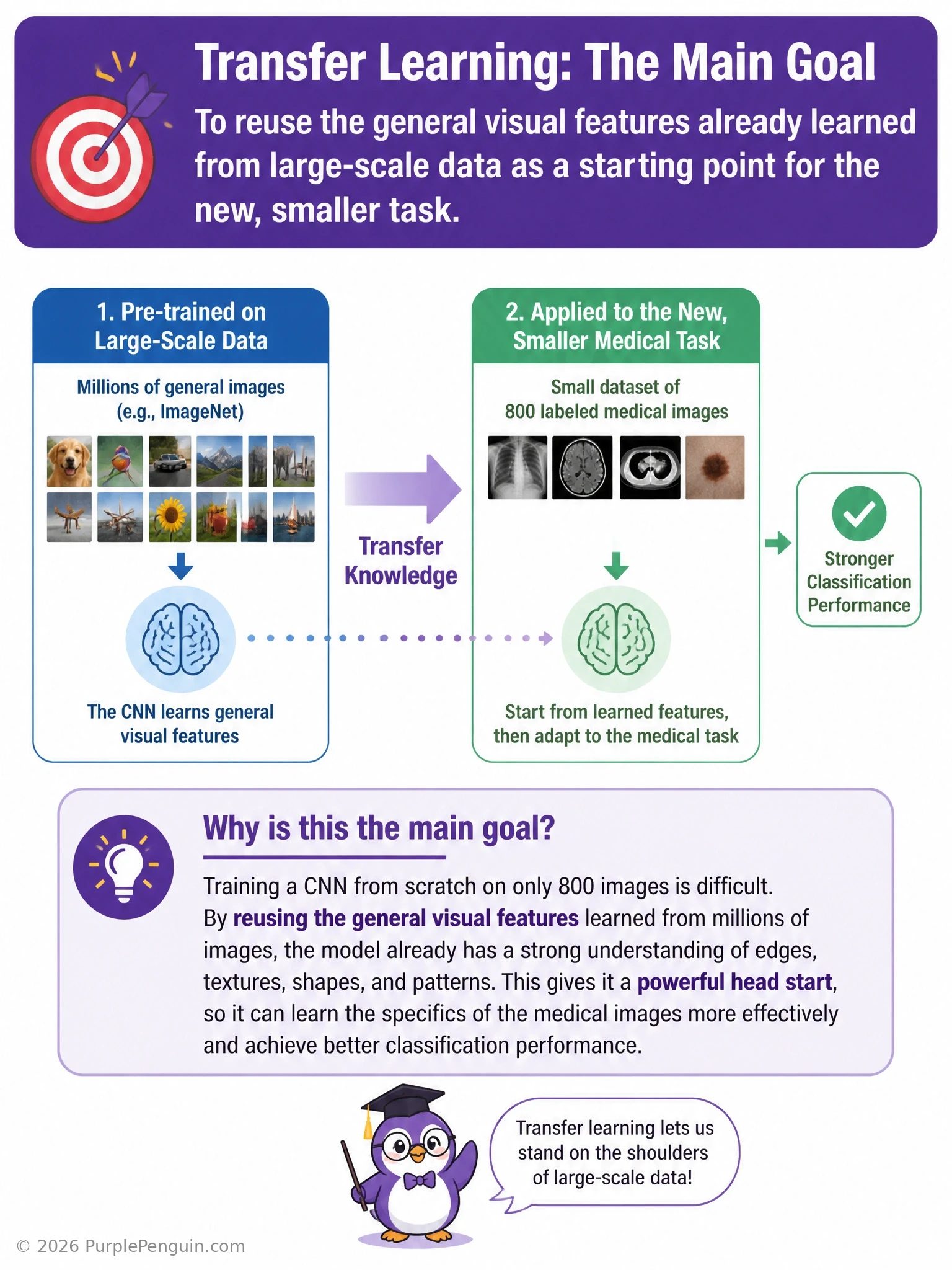 Diagram of a pre-trained CNN (like VGG or ResNet) with frozen early convolutional layers reused for general visual features, connected to newly added and retrained final layers adapted to a small new medical imaging dataset.
