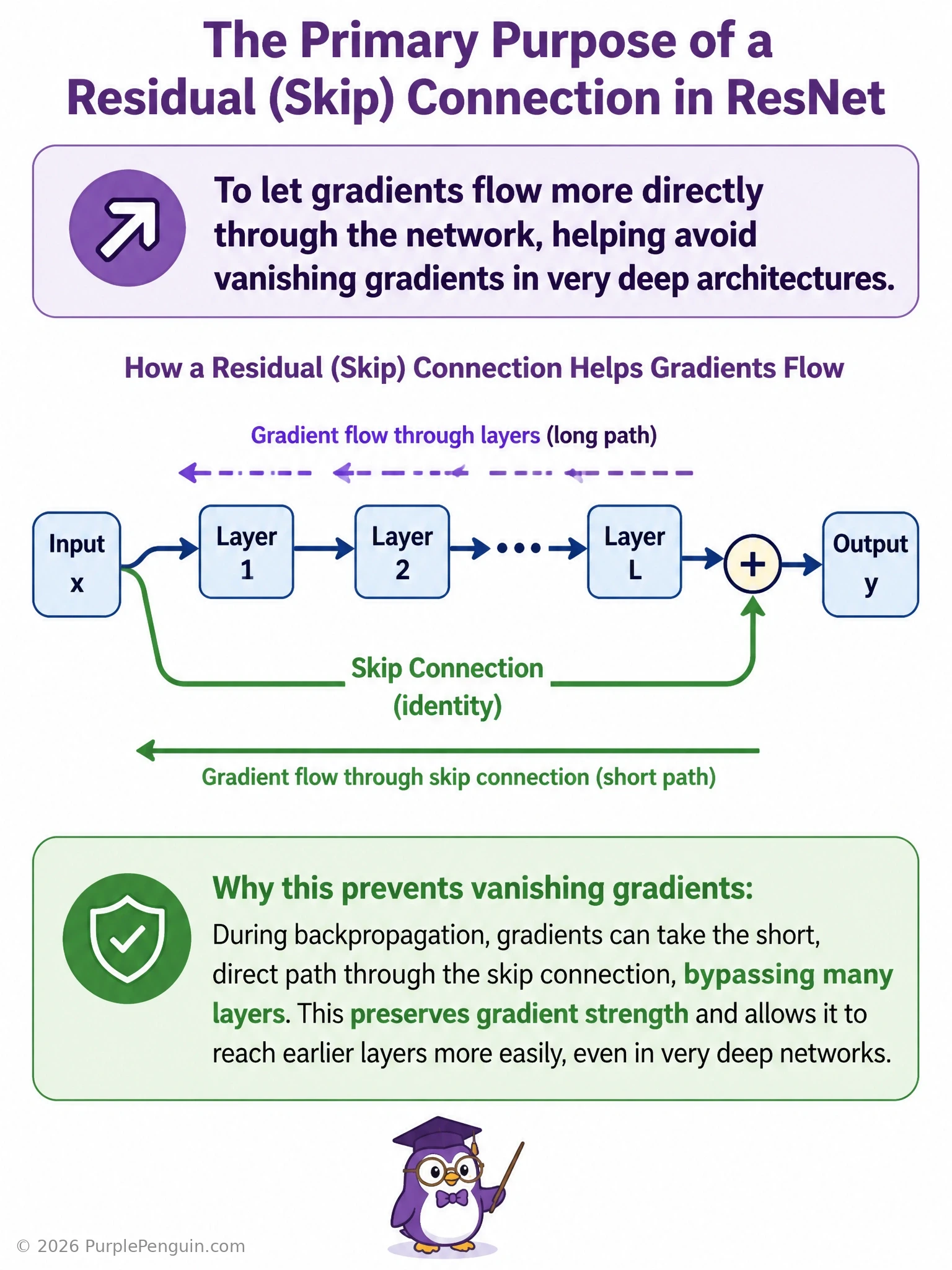 Diagram of a residual block in a ResNet showing the input taking a skip-connection shortcut around a set of convolutional layers and being added back to their output, with an arrow illustrating a direct gradient path during backpropagation.